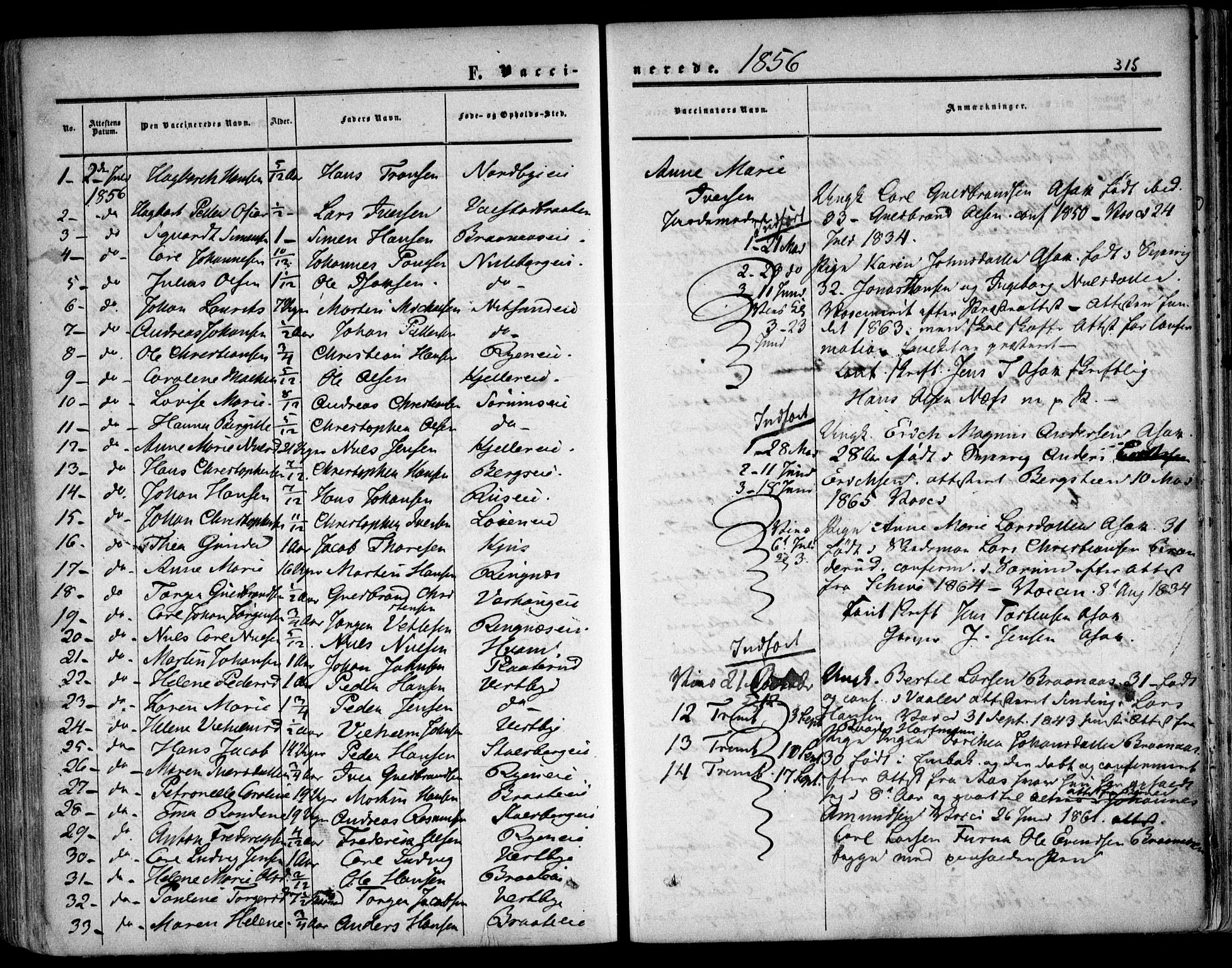 Skedsmo prestekontor Kirkebøker, AV/SAO-A-10033a/F/Fa/L0010: Ministerialbok nr. I 10, 1854-1865, s. 315