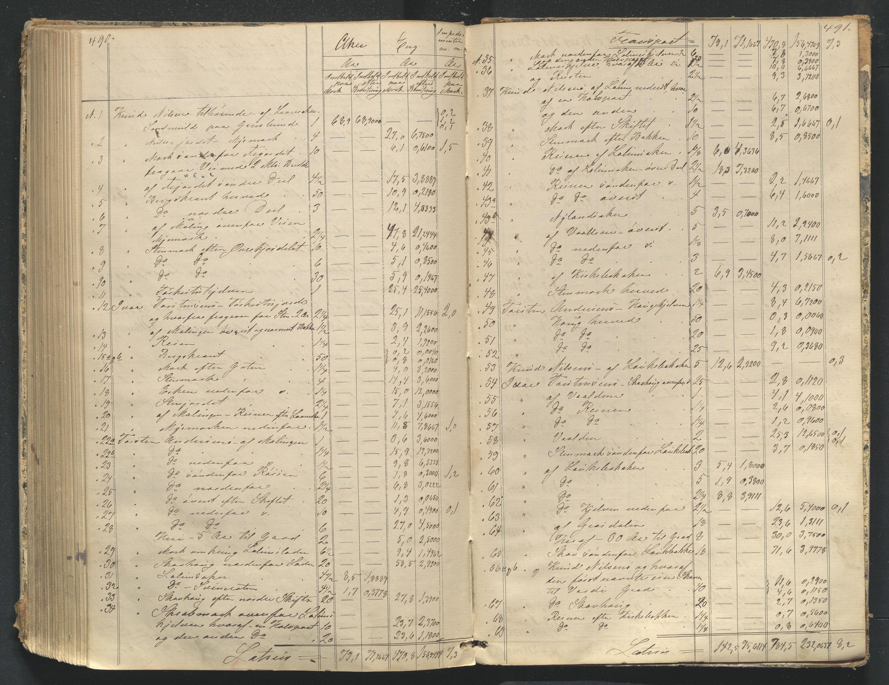 Utskiftningsformannen i Oppland fylke, AV/SAH-JORDSKIFTEO-001/H/Ha/Hag/L0003/0002: Forhandlingsprotokoller / Forhandlingsprotokoll - Valdres, 1875-1884, s. 490-491