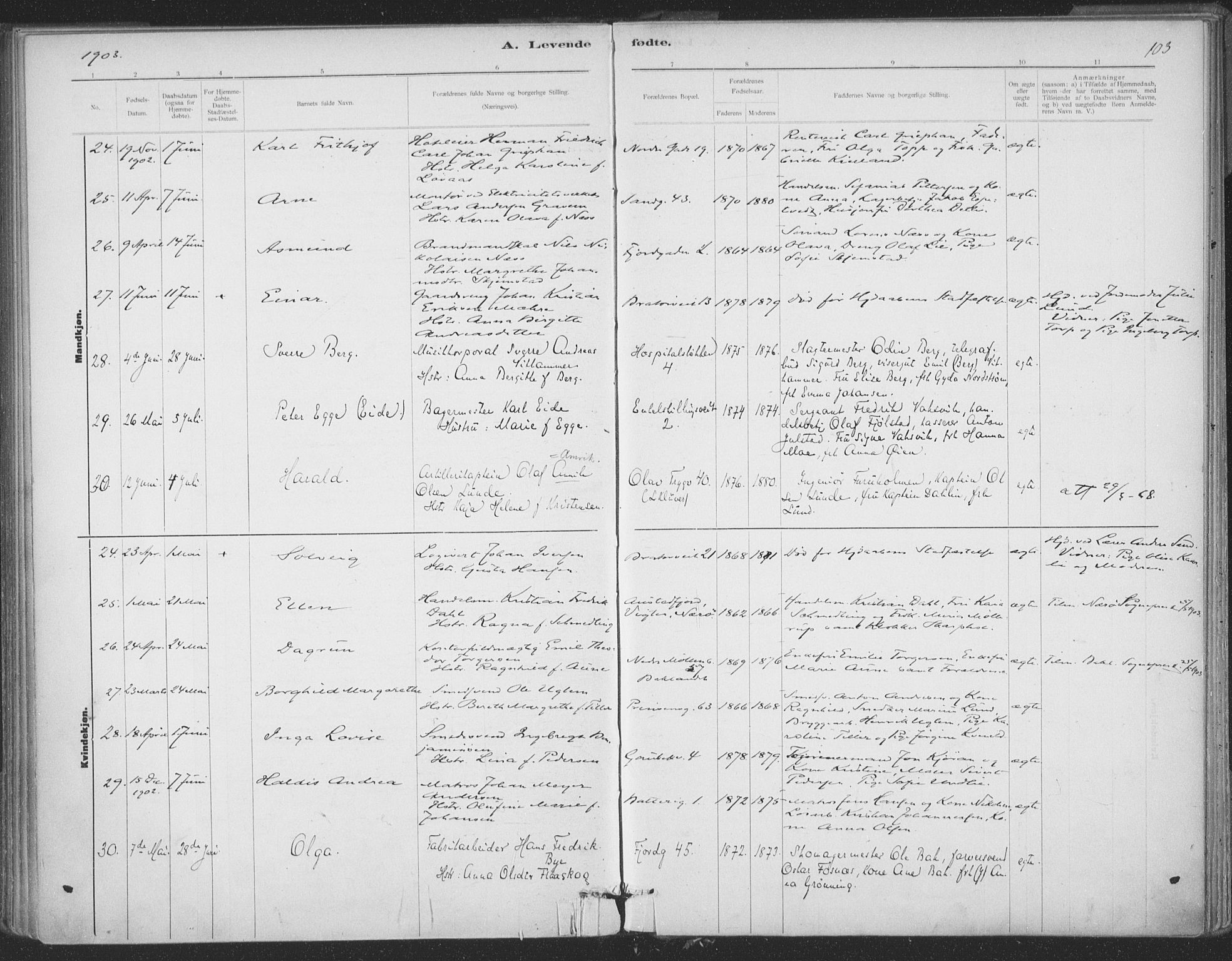 Ministerialprotokoller, klokkerbøker og fødselsregistre - Sør-Trøndelag, SAT/A-1456/602/L0122: Ministerialbok nr. 602A20, 1892-1908, s. 103