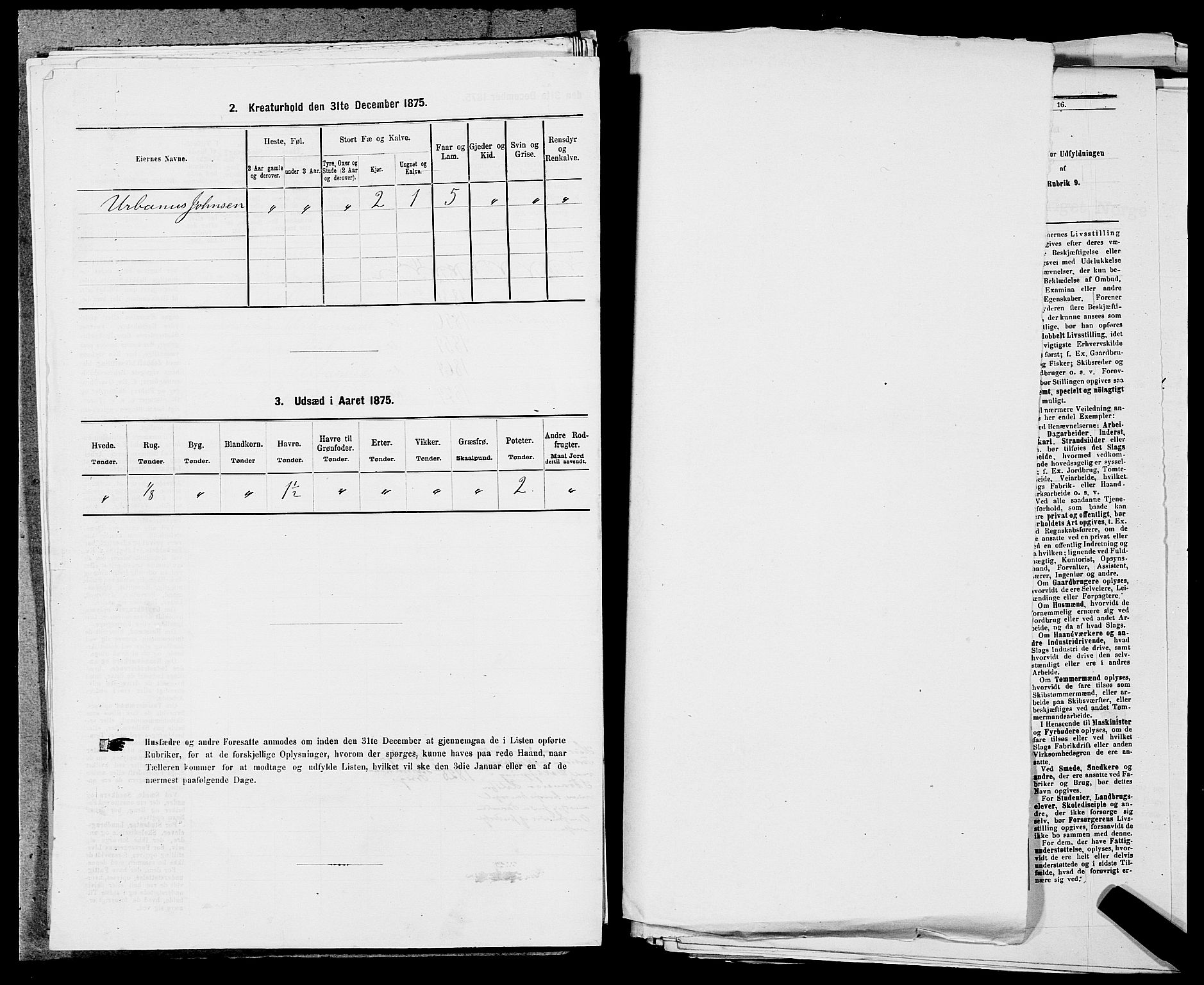 SAST, Folketelling 1875 for 1147L Avaldsnes prestegjeld, Avaldsnes sokn og Kopervik landsokn, 1875, s. 482