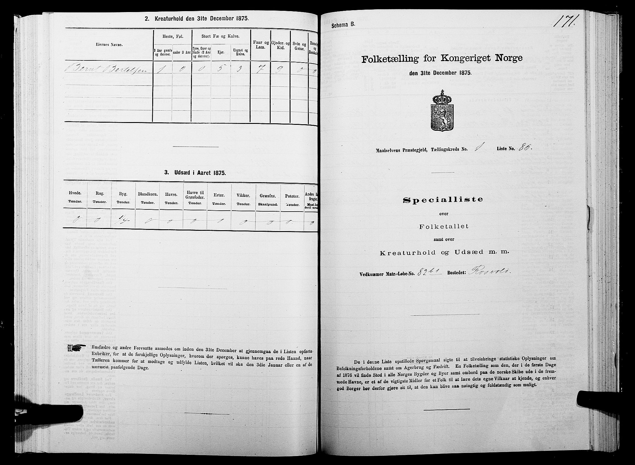 SATØ, Folketelling 1875 for 1924P Målselv prestegjeld, 1875, s. 1171