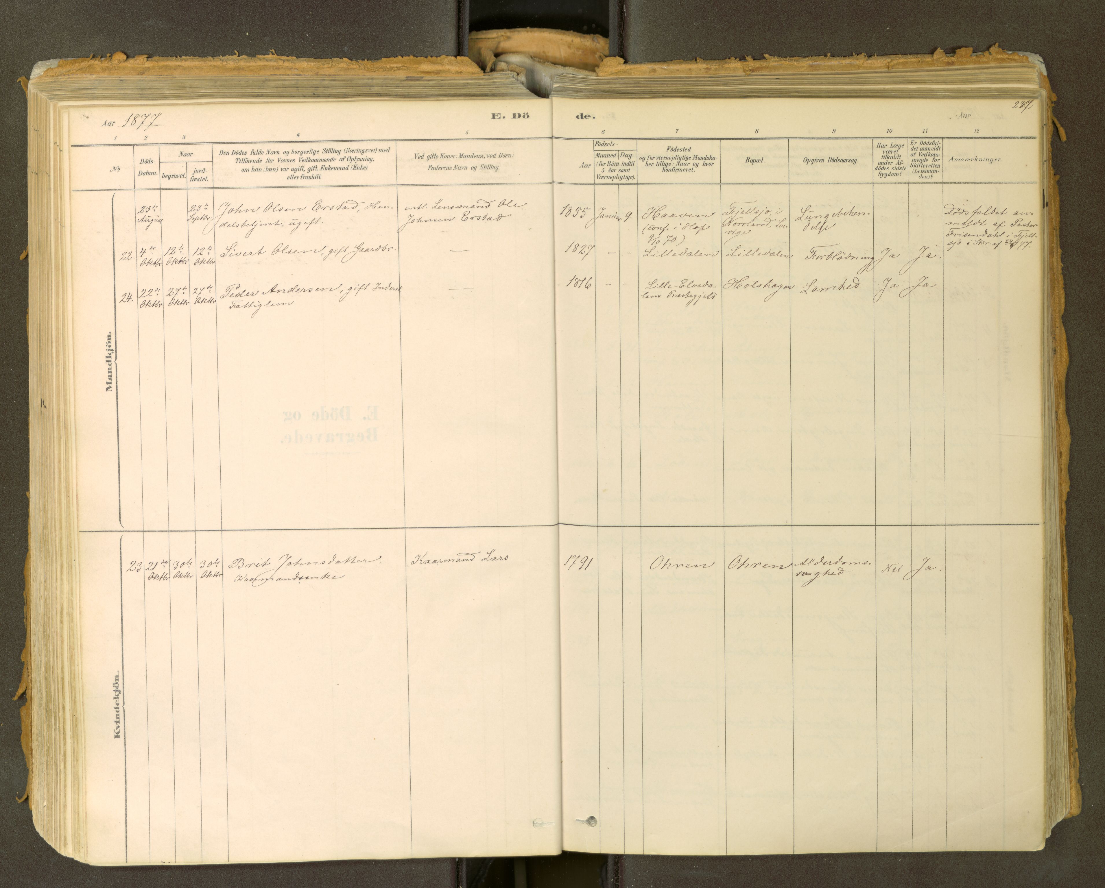 Sunndal sokneprestkontor, SAT/A-1085/1/I/I1/I1a: Ministerialbok nr. 2, 1877-1914, s. 237