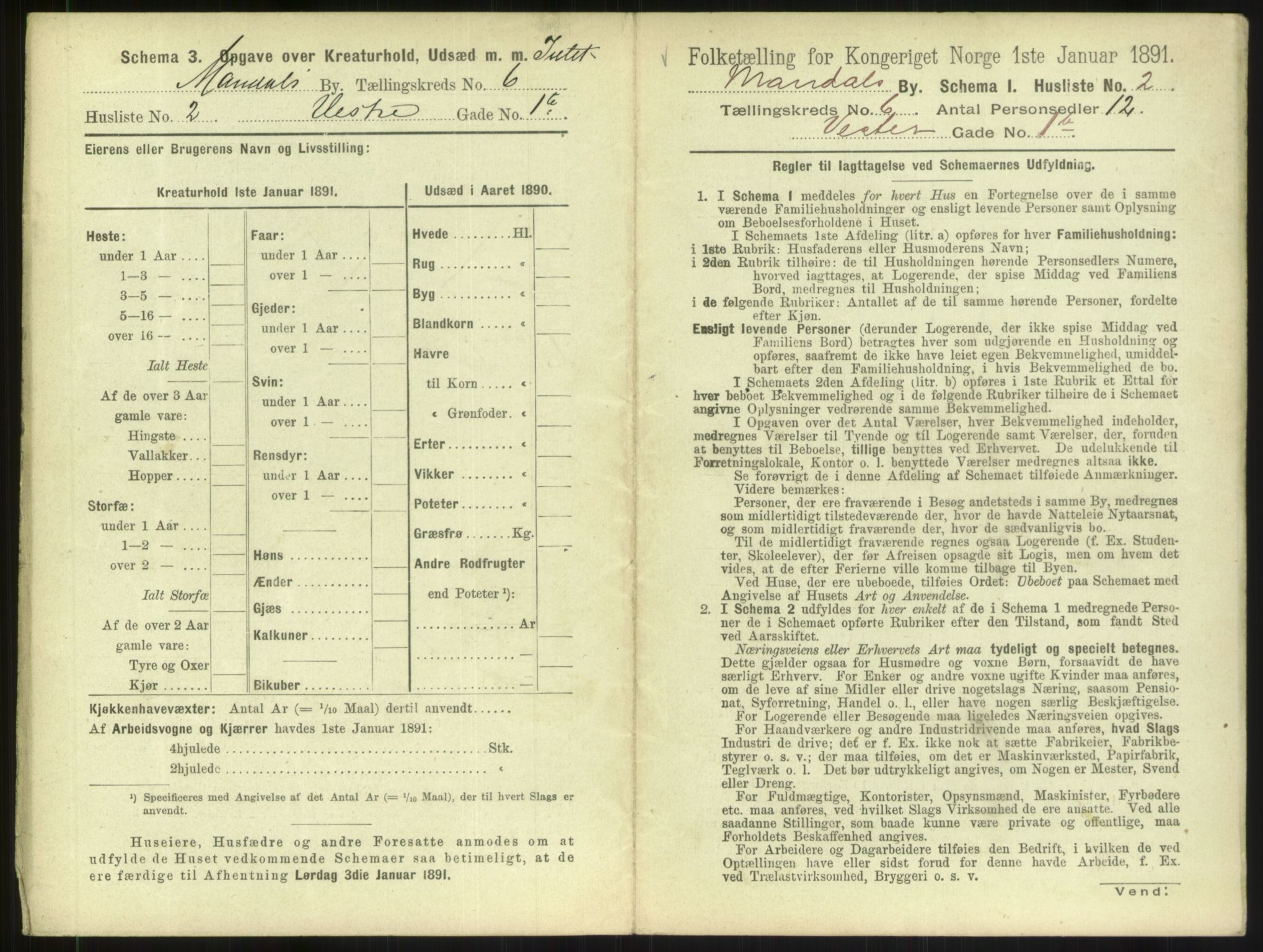 RA, Folketelling 1891 for 1002 Mandal ladested, 1891, s. 303