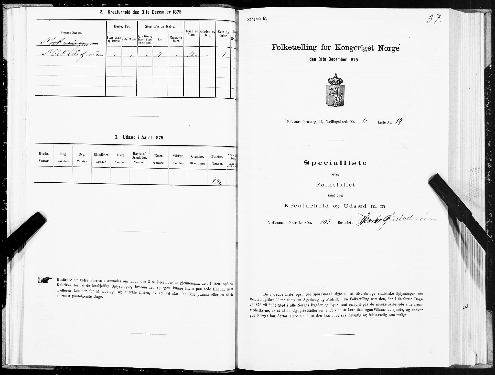 SAT, Folketelling 1875 for 1860P Buksnes prestegjeld, 1875, s. 3037