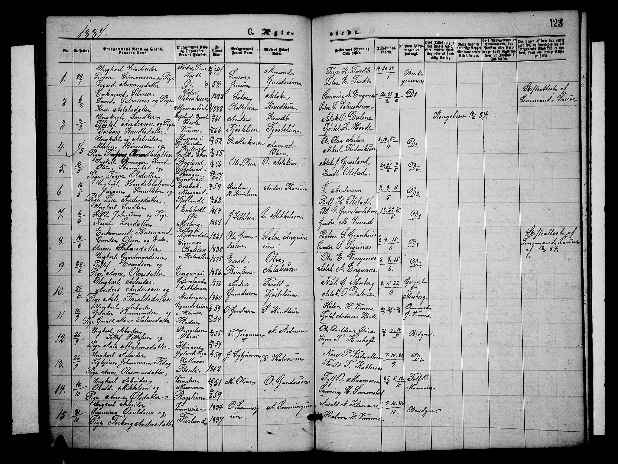 Åmli sokneprestkontor, AV/SAK-1111-0050/F/Fb/Fbc/L0003: Klokkerbok nr. B 3, 1868-1888, s. 123
