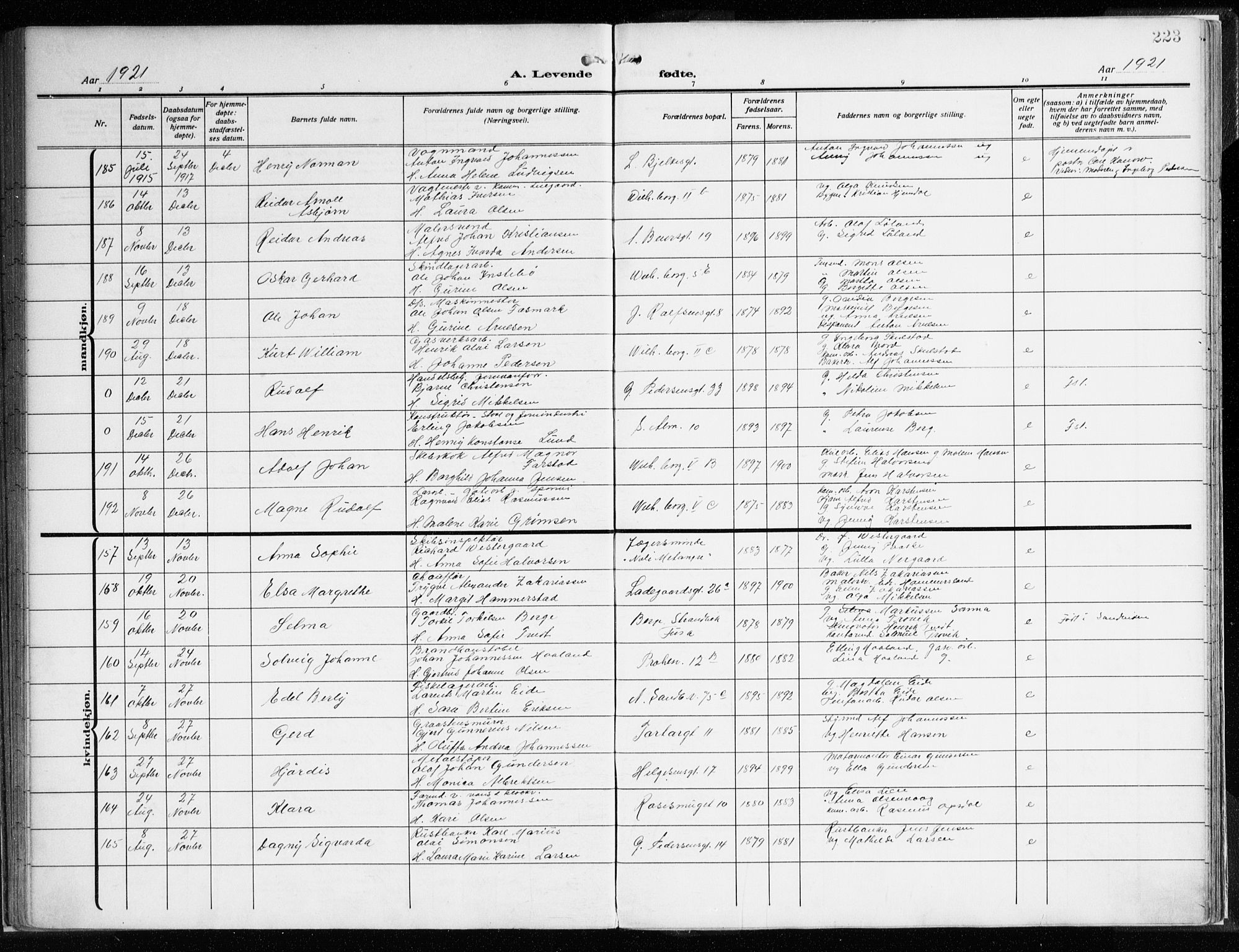 Sandviken Sokneprestembete, AV/SAB-A-77601/H/Ha/L0007: Ministerialbok nr. B 4, 1912-1924, s. 223