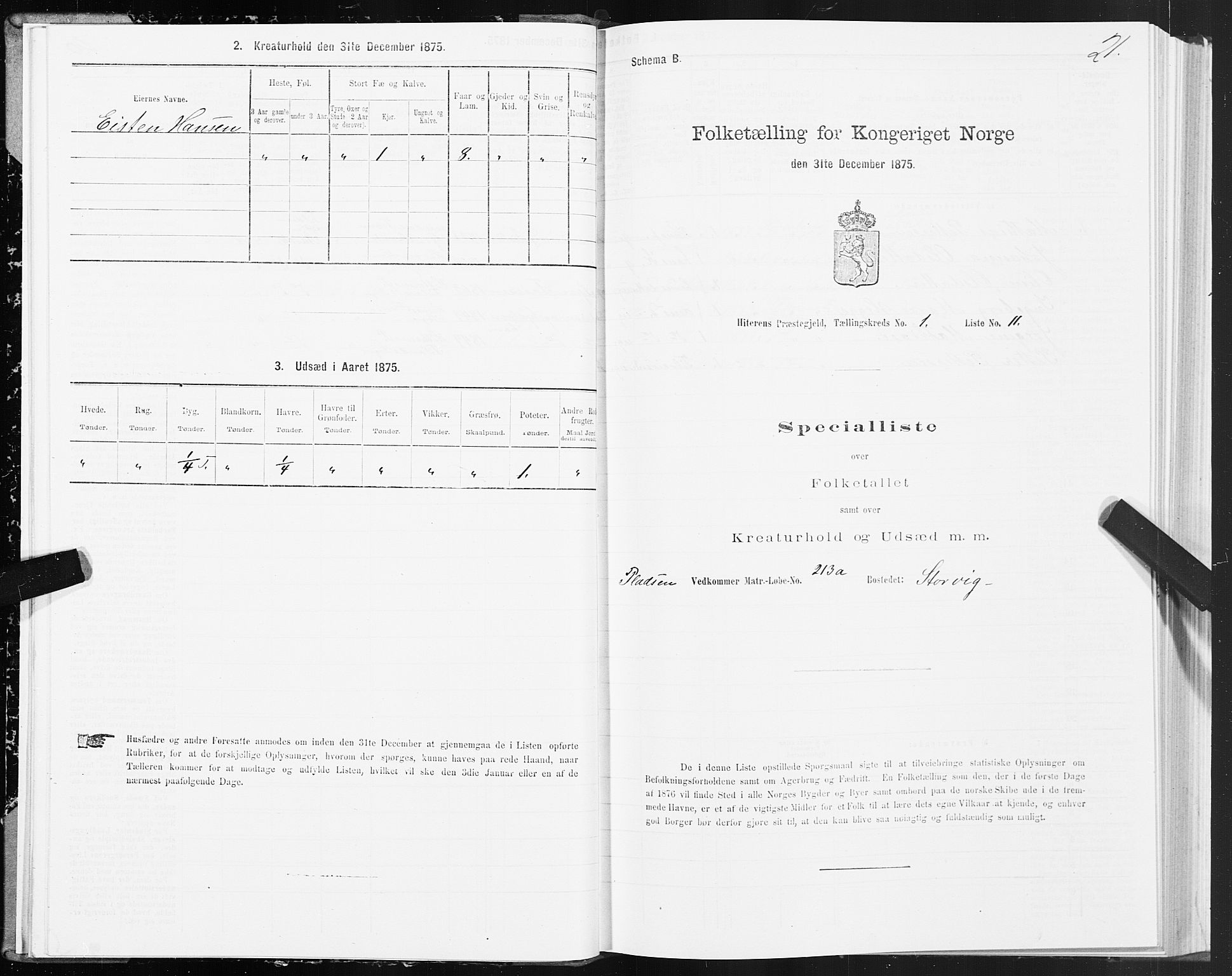 SAT, Folketelling 1875 for 1617P Hitra prestegjeld, 1875, s. 1021