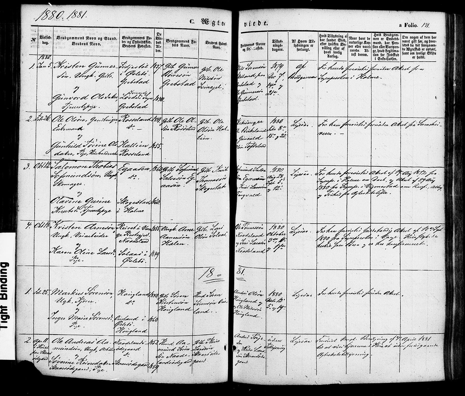 Søgne sokneprestkontor, AV/SAK-1111-0037/F/Fa/Faa/L0002: Ministerialbok nr. A 2, 1854-1882, s. 171