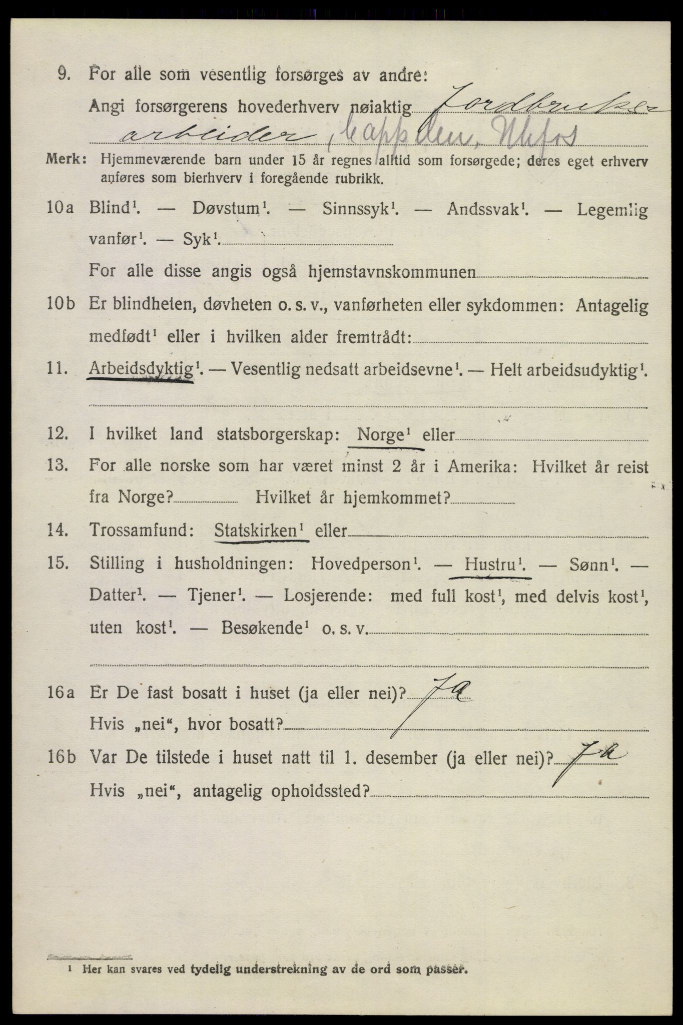 SAKO, Folketelling 1920 for 0819 Holla herred, 1920, s. 8588