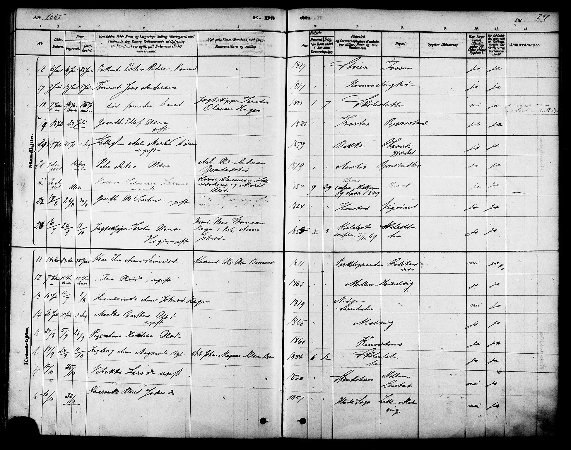 Ministerialprotokoller, klokkerbøker og fødselsregistre - Sør-Trøndelag, SAT/A-1456/616/L0410: Ministerialbok nr. 616A07, 1878-1893, s. 247