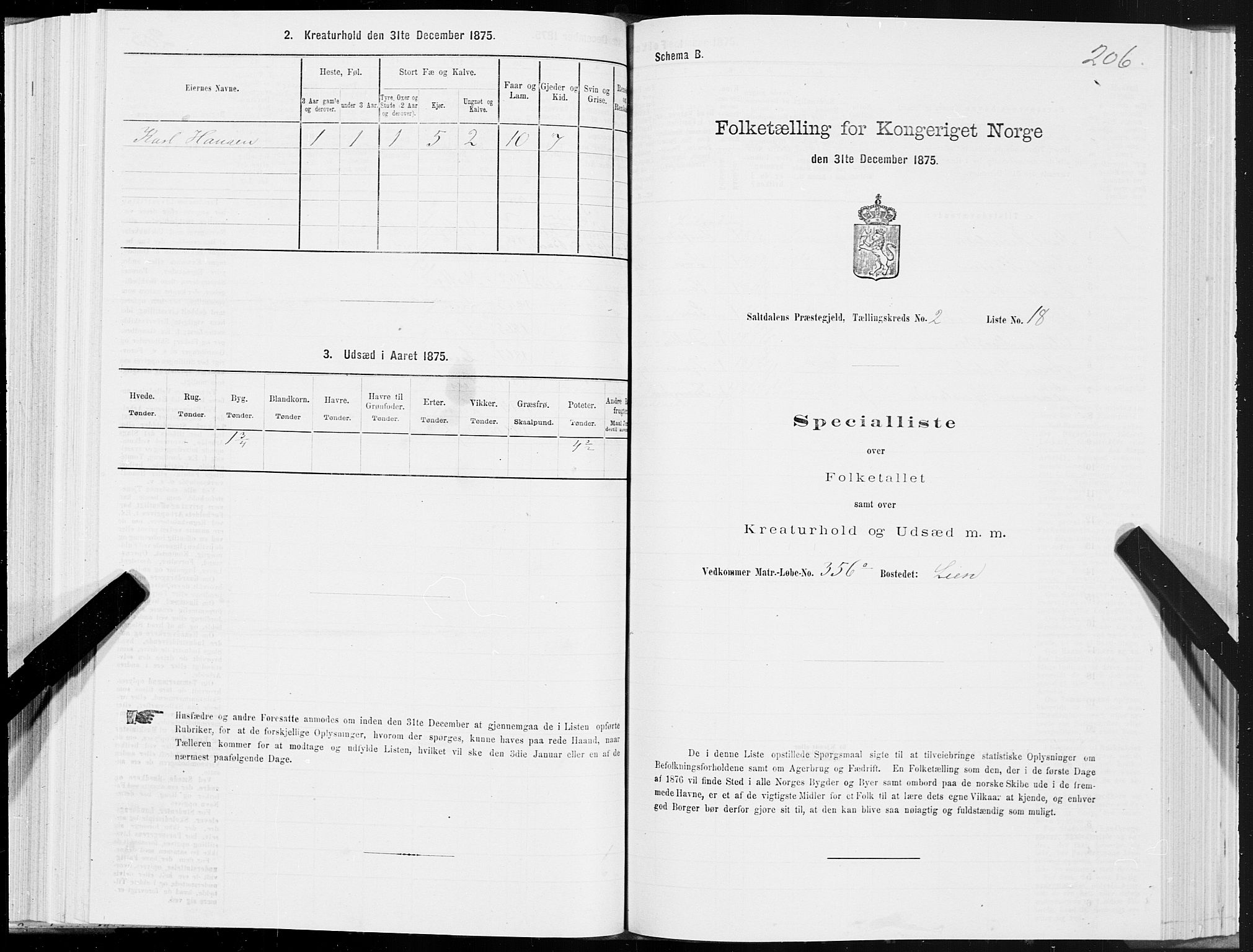 SAT, Folketelling 1875 for 1840P Saltdal prestegjeld, 1875, s. 1206