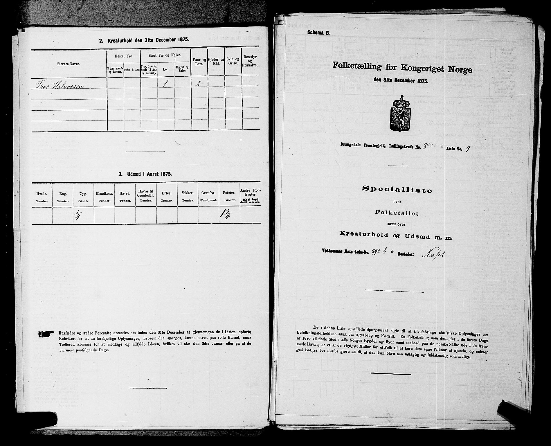 SAKO, Folketelling 1875 for 0817P Drangedal prestegjeld, 1875, s. 778