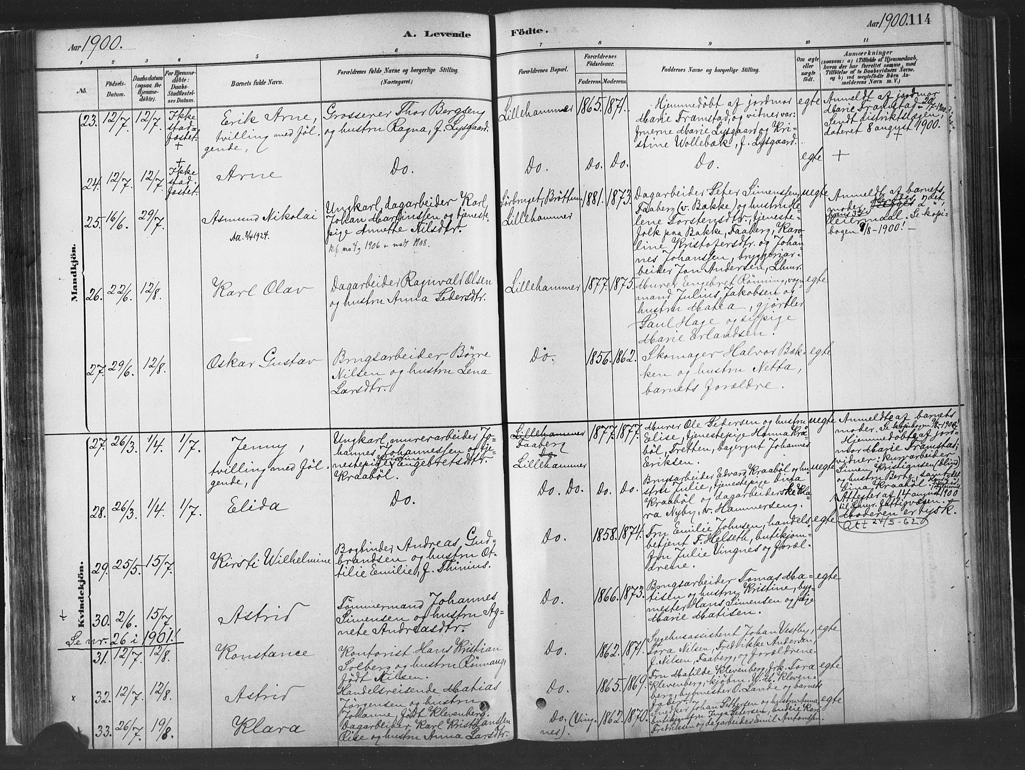 Fåberg prestekontor, AV/SAH-PREST-086/H/Ha/Haa/L0010: Ministerialbok nr. 10, 1879-1900, s. 114