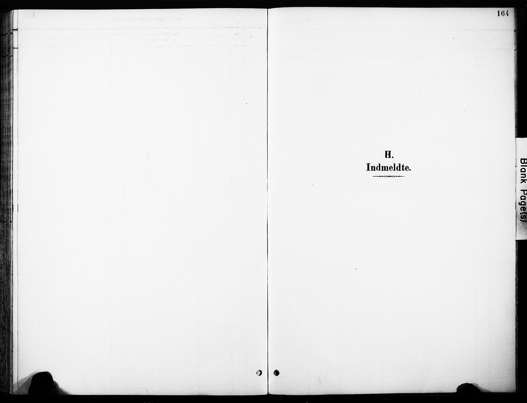 Øyer prestekontor, AV/SAH-PREST-084/H/Ha/Haa/L0011: Ministerialbok nr. 11, 1894-1905, s. 164
