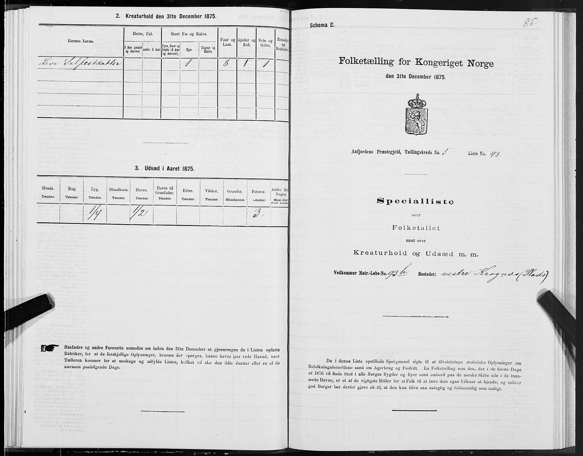 SAT, Folketelling 1875 for 1630P Aafjorden prestegjeld, 1875, s. 3085