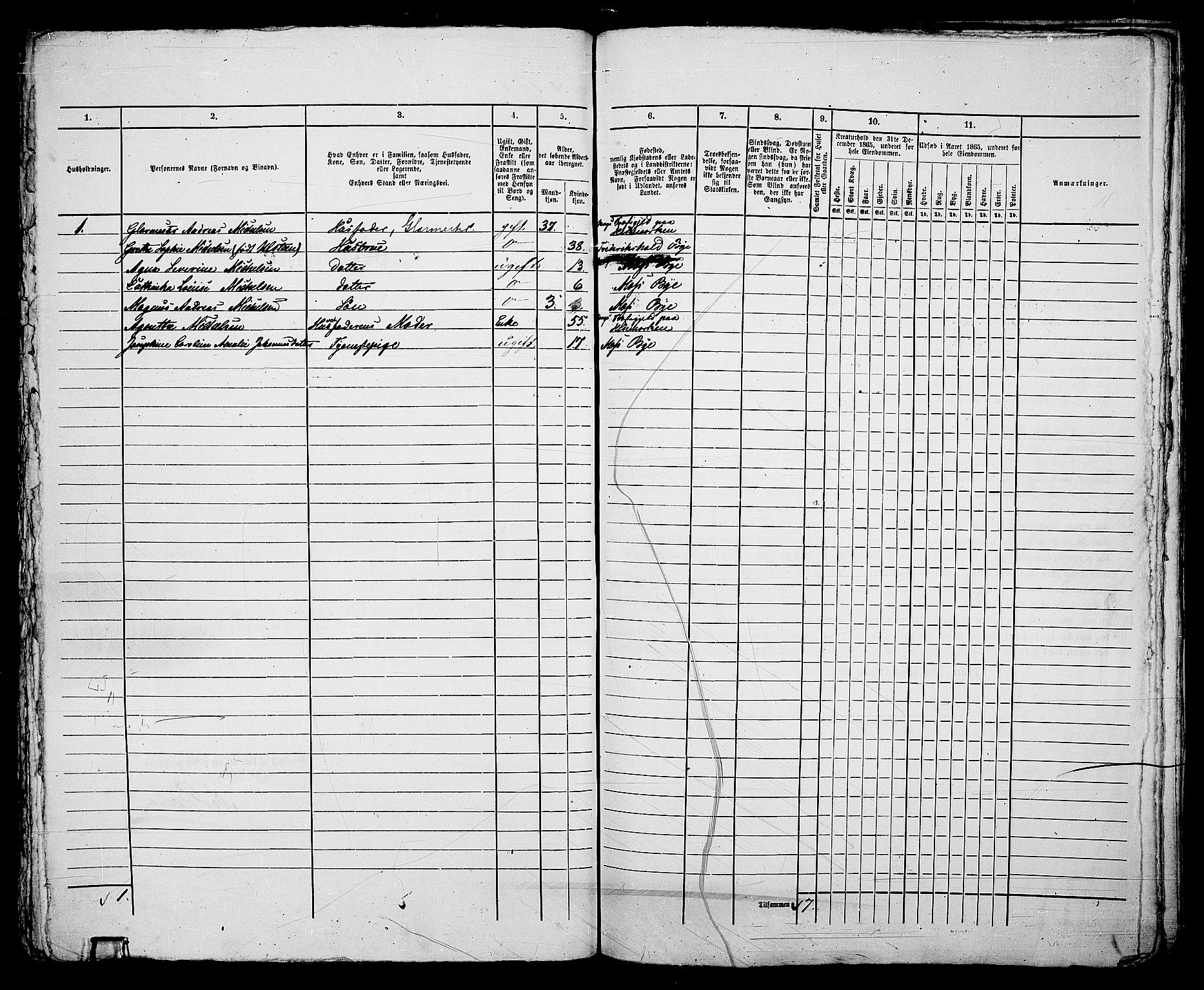 RA, Folketelling 1865 for 0104B Moss prestegjeld, Moss kjøpstad, 1865, s. 329