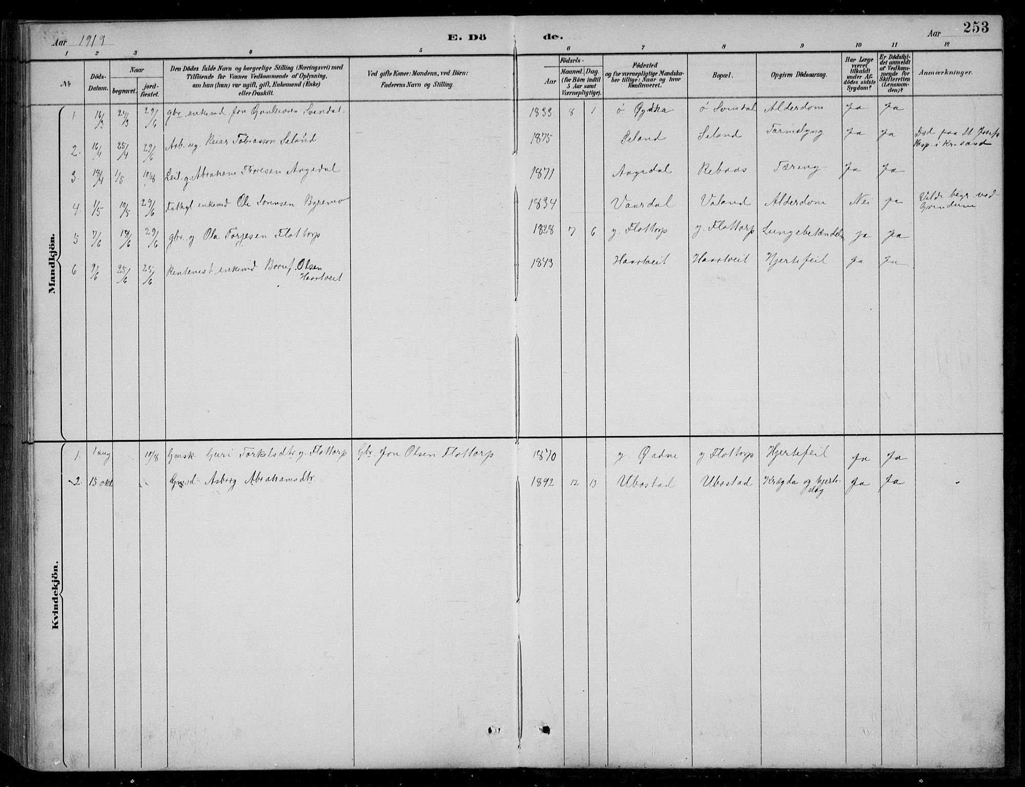 Bjelland sokneprestkontor, AV/SAK-1111-0005/F/Fb/Fbc/L0003: Klokkerbok nr. B 3, 1887-1924, s. 253