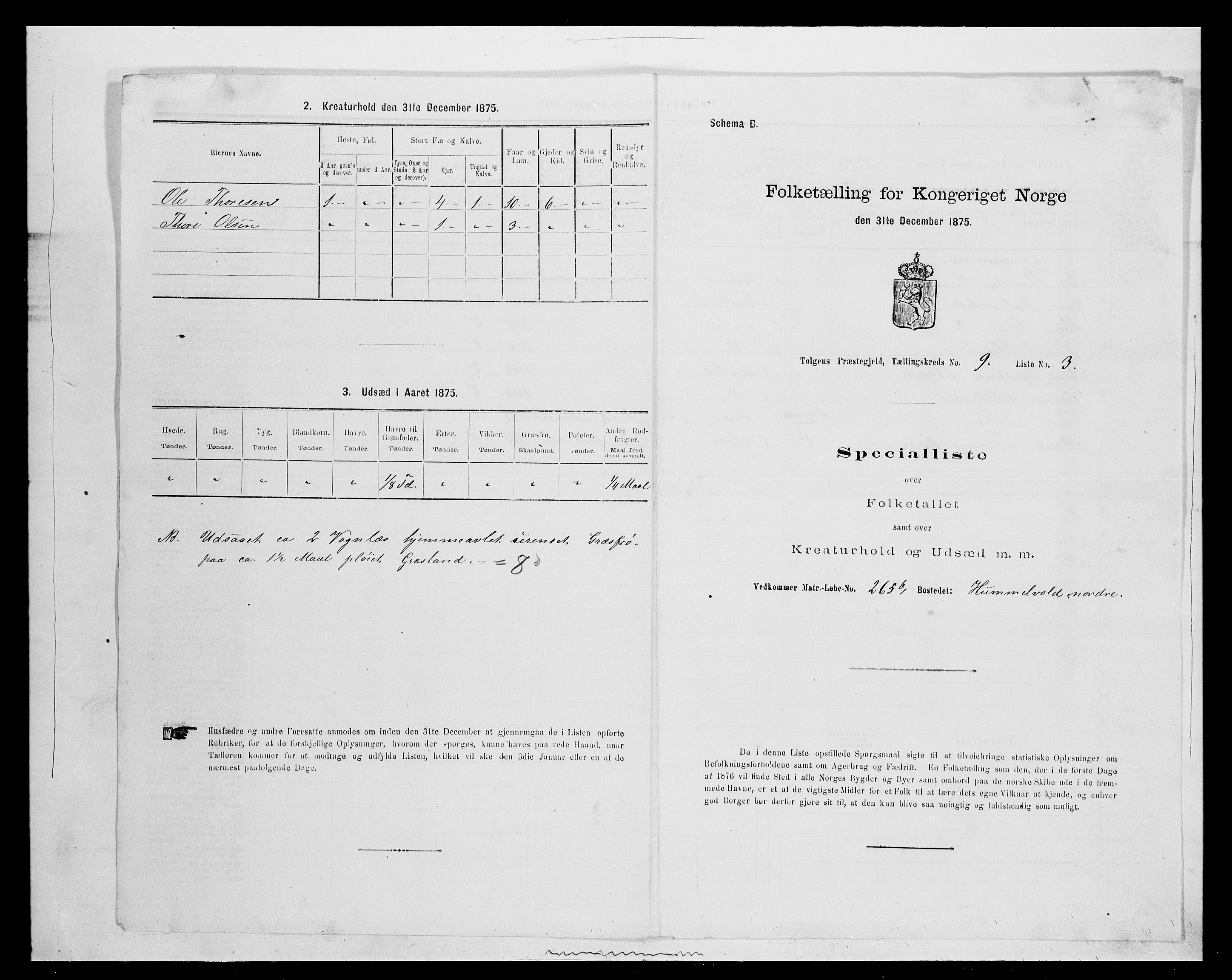 SAH, Folketelling 1875 for 0436P Tolga prestegjeld, 1875, s. 891