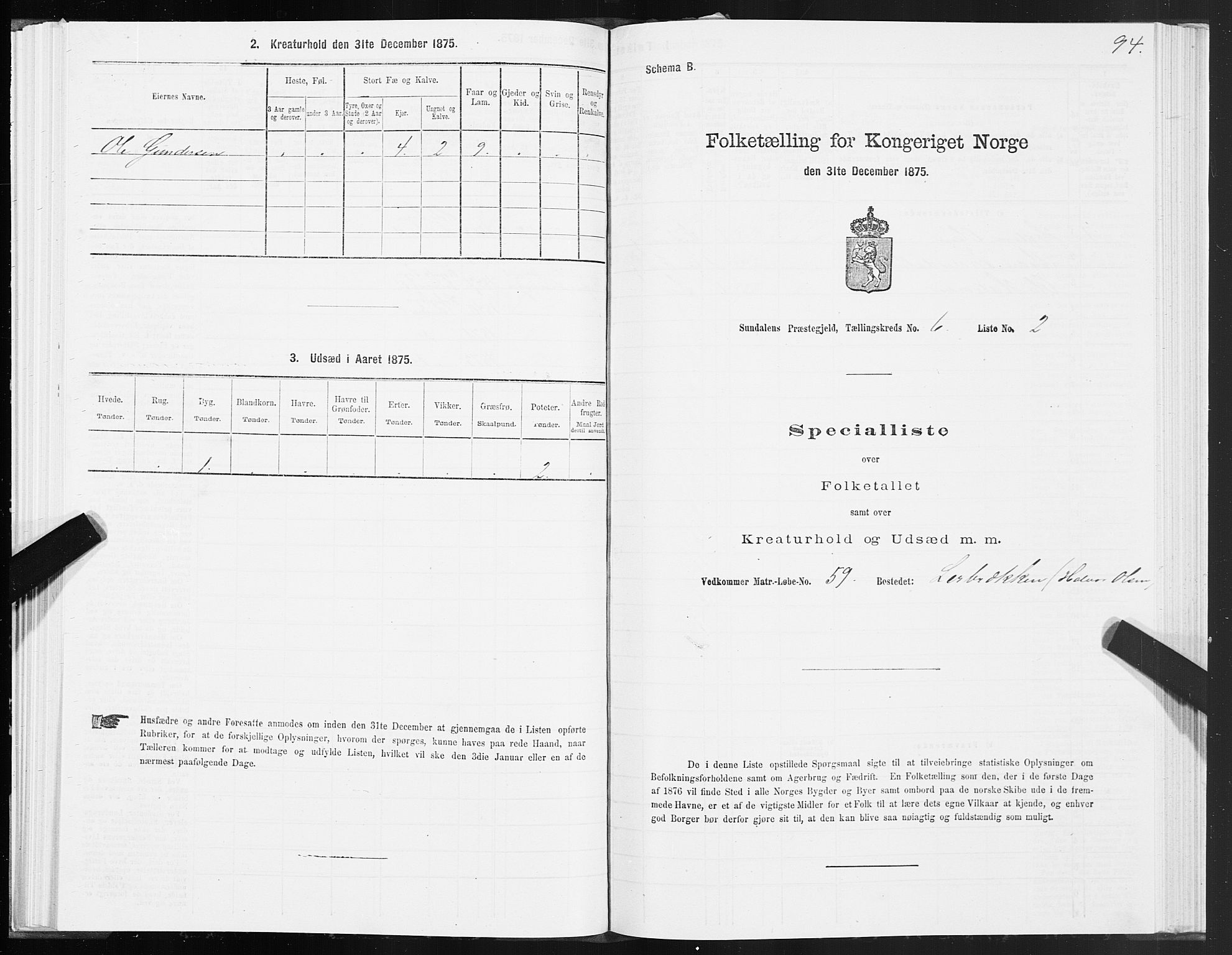 SAT, Folketelling 1875 for 1563P Sunndal prestegjeld, 1875, s. 2094