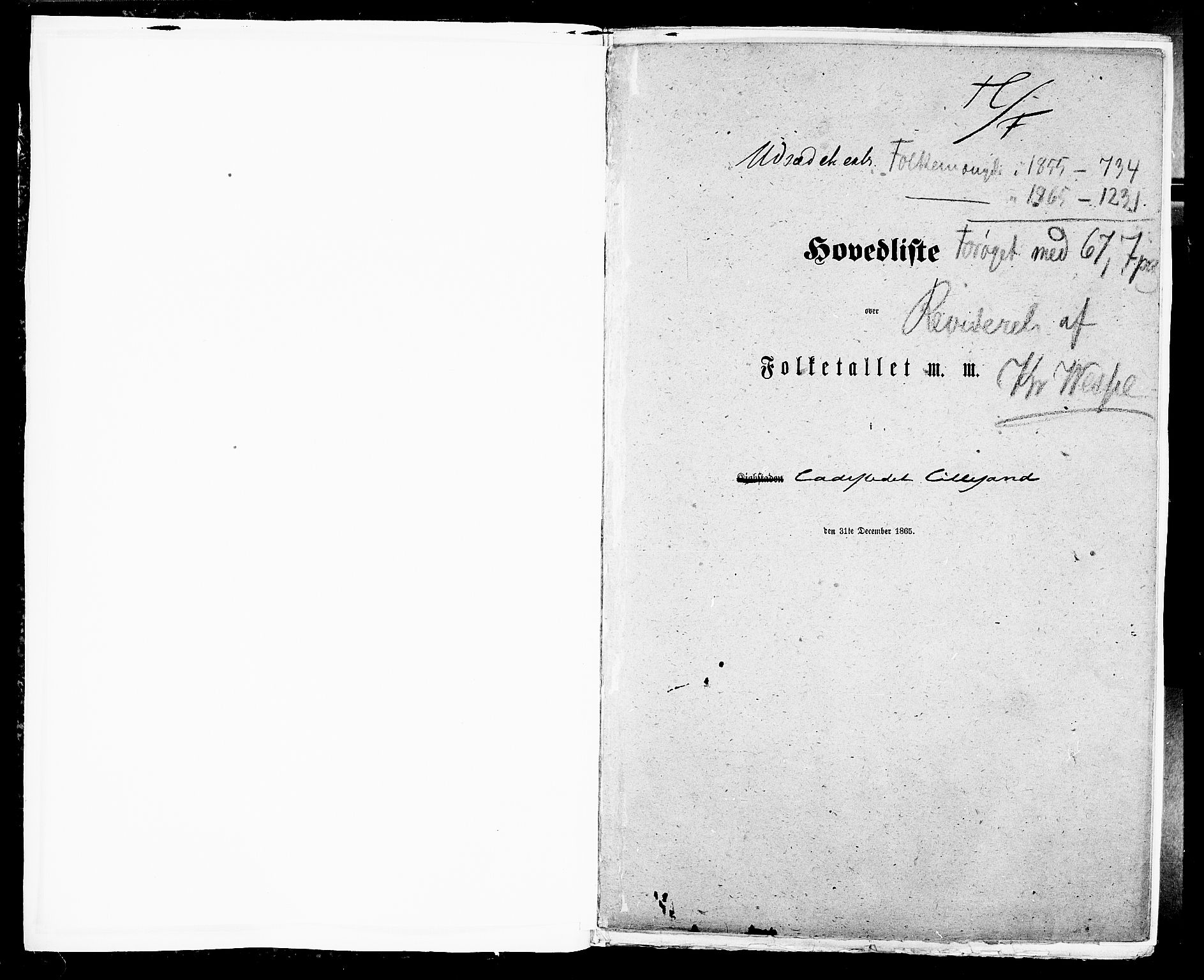 RA, Folketelling 1865 for 0905B Vestre Moland prestegjeld, Lillesand ladested, 1865, s. 4