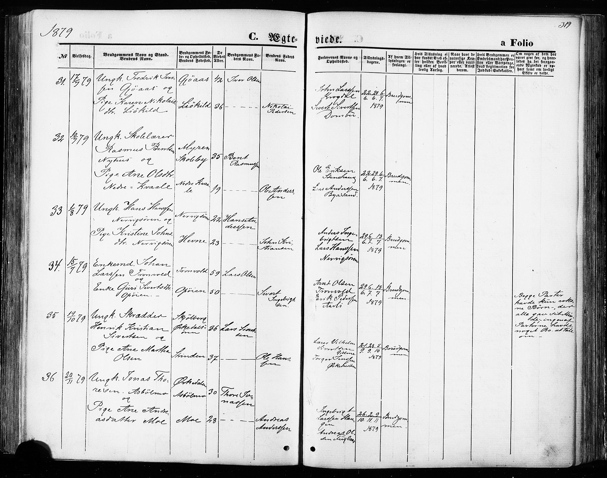 Ministerialprotokoller, klokkerbøker og fødselsregistre - Sør-Trøndelag, SAT/A-1456/668/L0807: Ministerialbok nr. 668A07, 1870-1880, s. 319
