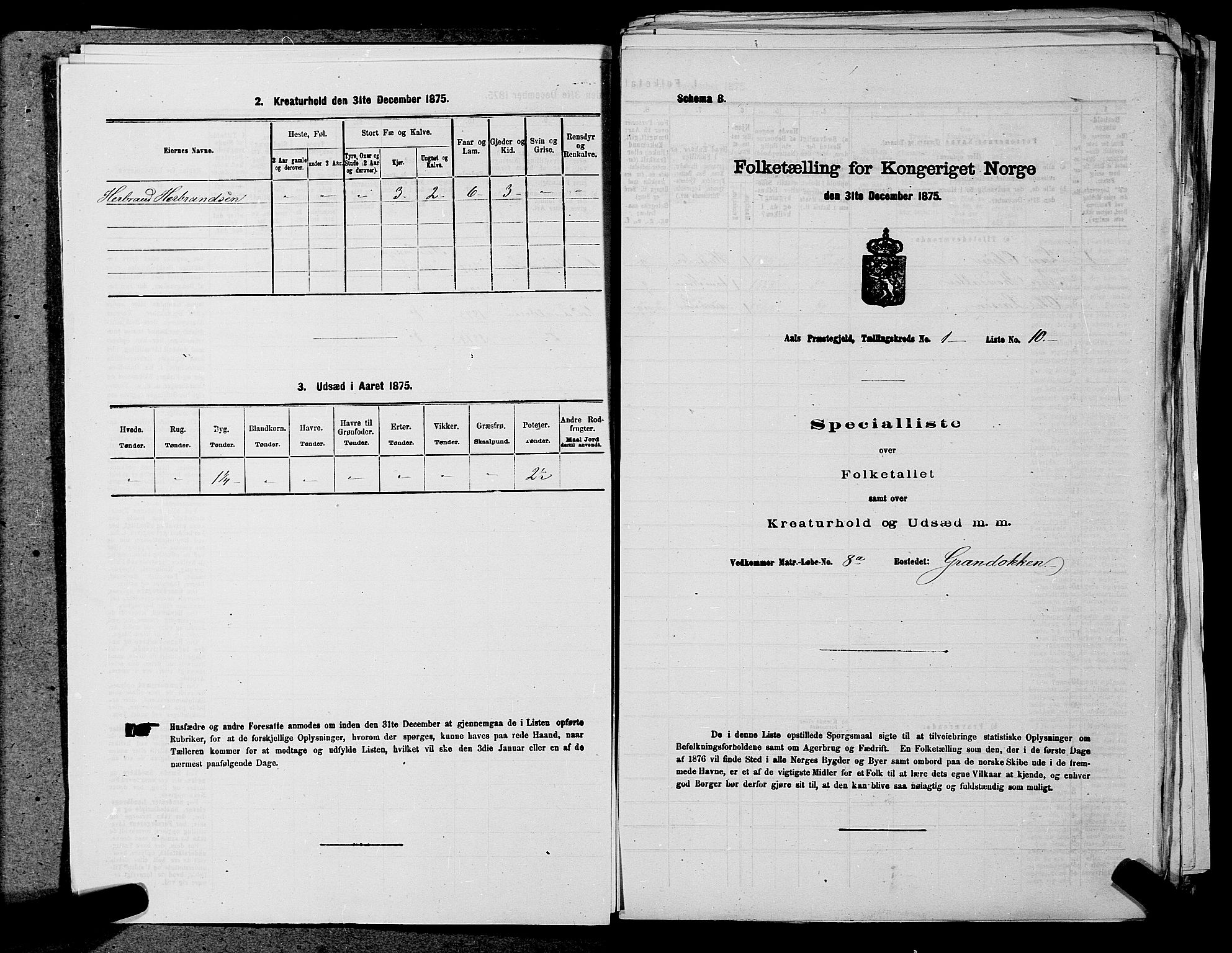 SAKO, Folketelling 1875 for 0619P Ål prestegjeld, 1875, s. 40