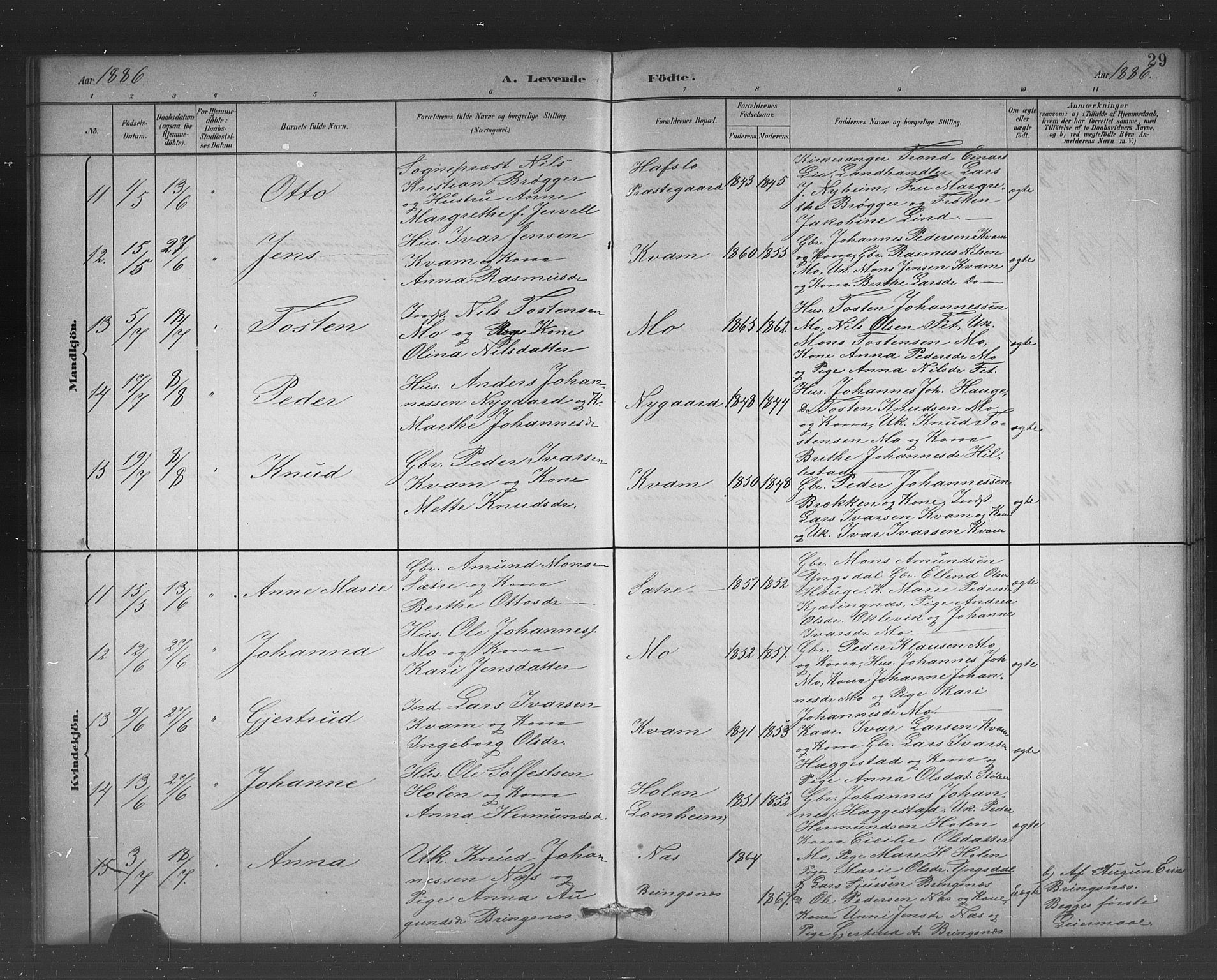 Hafslo sokneprestembete, AV/SAB-A-80301/H/Hab/Habb/L0001: Klokkerbok nr. B 1, 1882-1908, s. 29