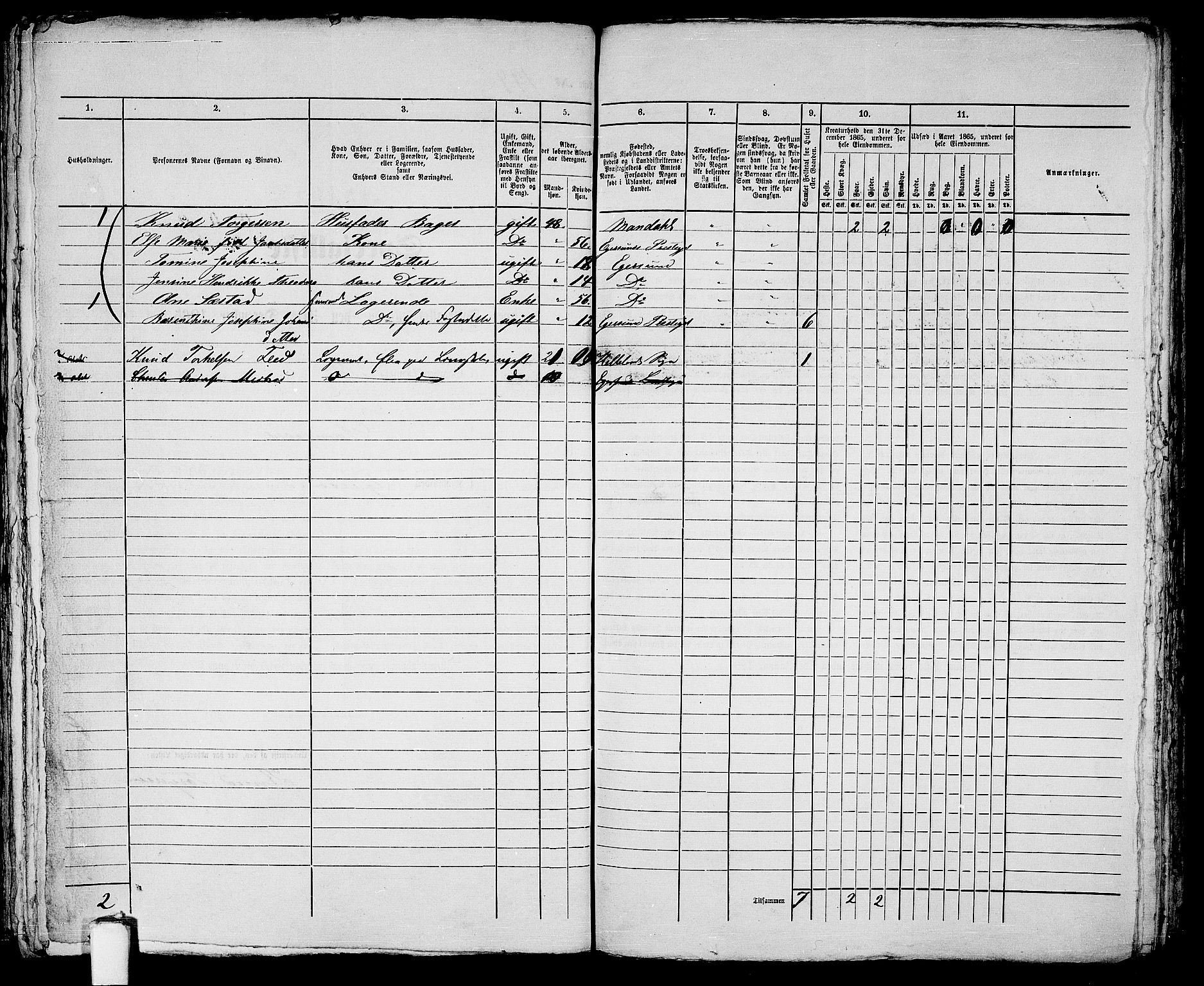 RA, Folketelling 1865 for 1101B Eigersund prestegjeld, Egersund ladested, 1865, s. 401