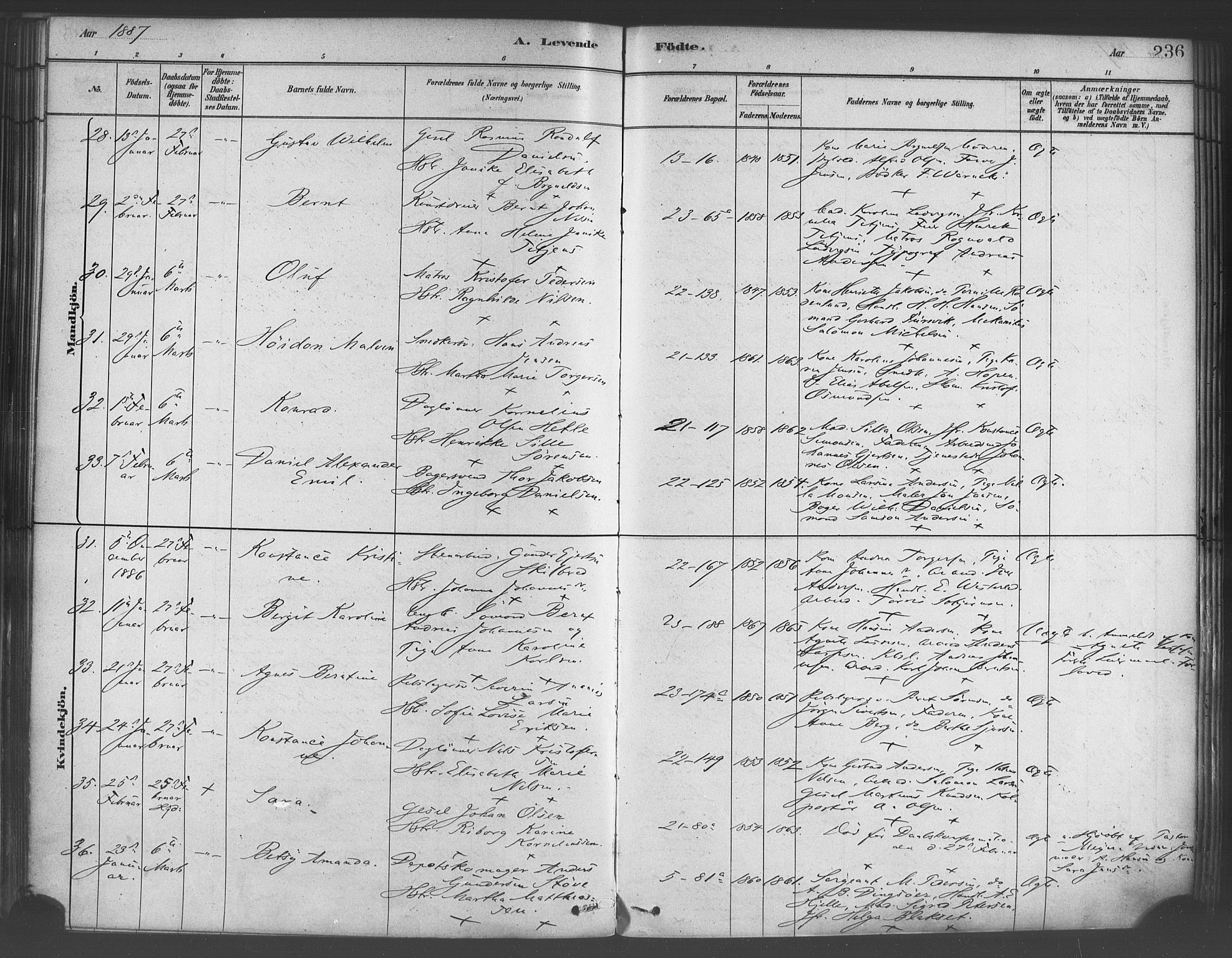 Korskirken sokneprestembete, SAB/A-76101/H/Haa/L0021: Ministerialbok nr. B 7, 1878-1889, s. 236
