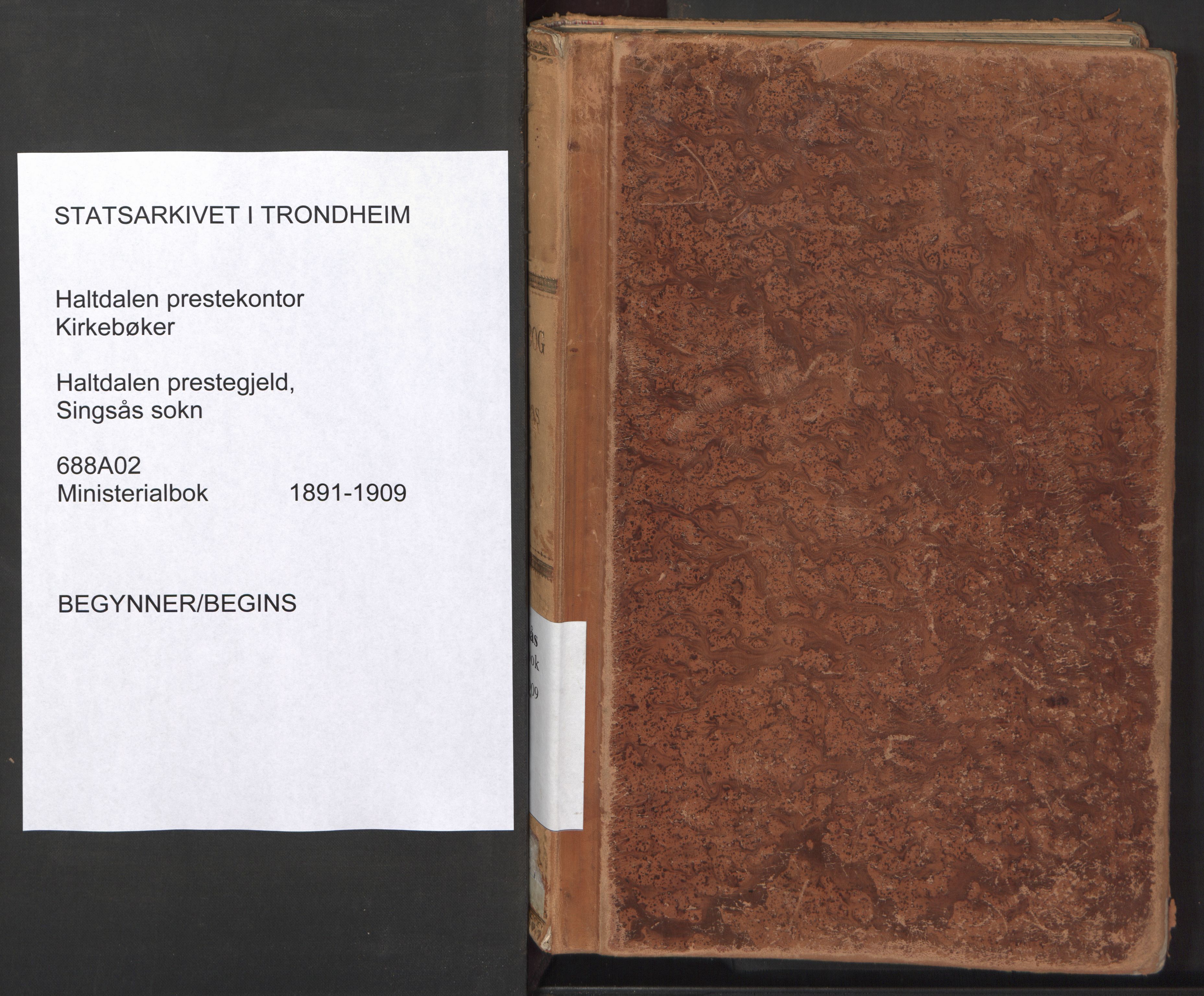 Ministerialprotokoller, klokkerbøker og fødselsregistre - Sør-Trøndelag, SAT/A-1456/688/L1025: Ministerialbok nr. 688A02, 1891-1909