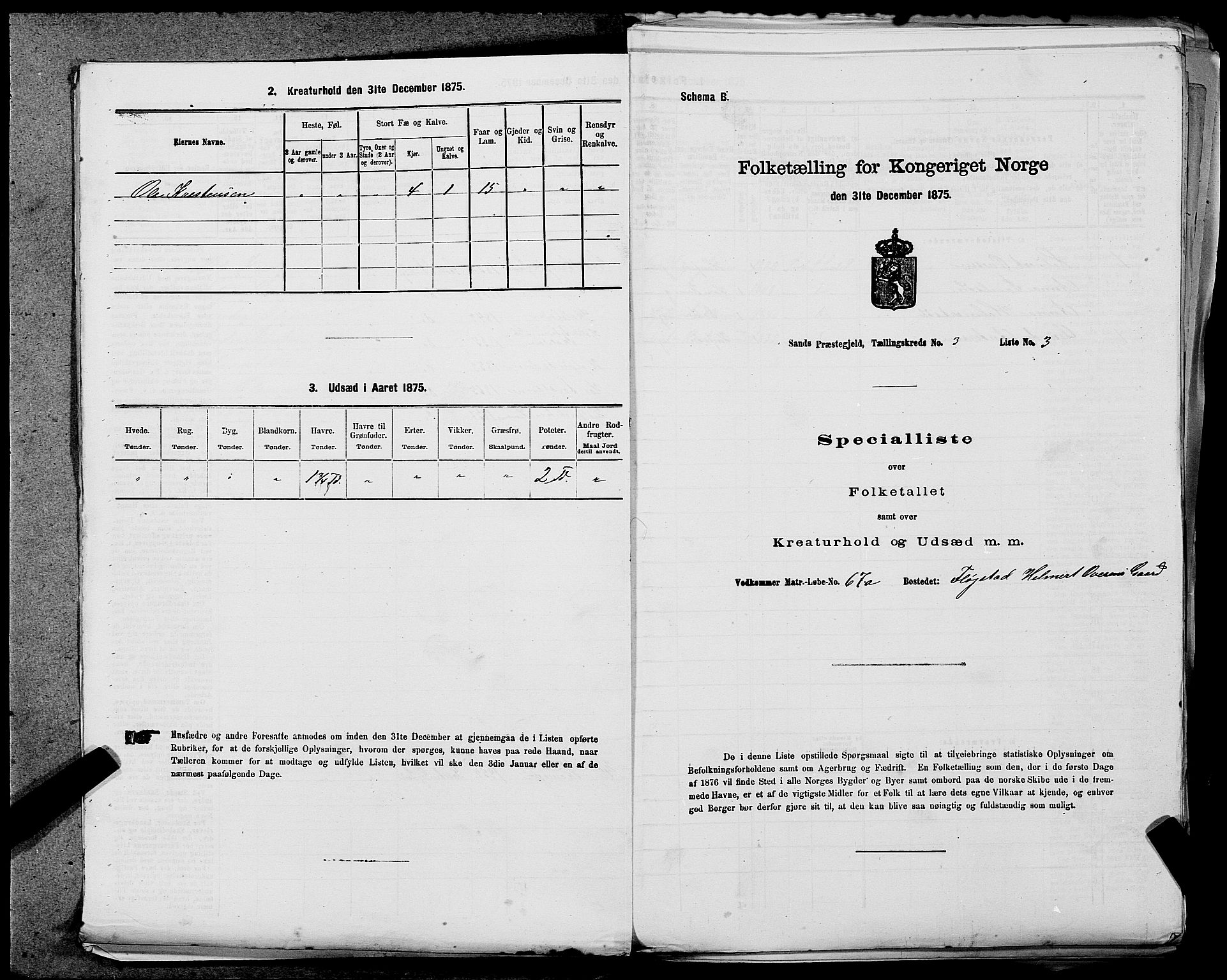 SAST, Folketelling 1875 for 1136P Sand prestegjeld, 1875, s. 1013