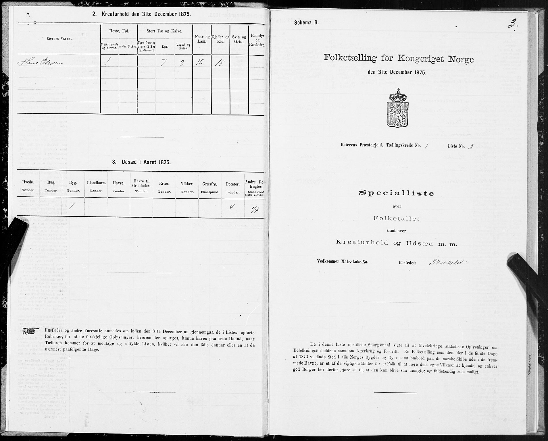 SAT, Folketelling 1875 for 1839P Beiarn prestegjeld, 1875, s. 1003