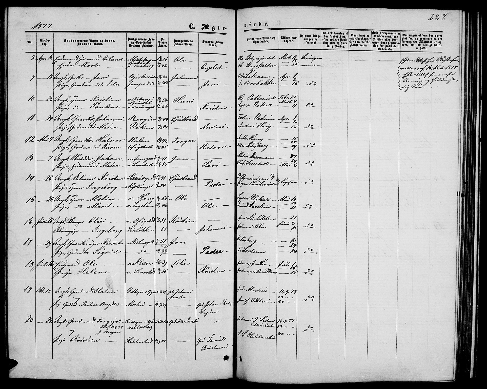 Øyer prestekontor, AV/SAH-PREST-084/H/Ha/Hab/L0001: Klokkerbok nr. 1, 1863-1877, s. 227
