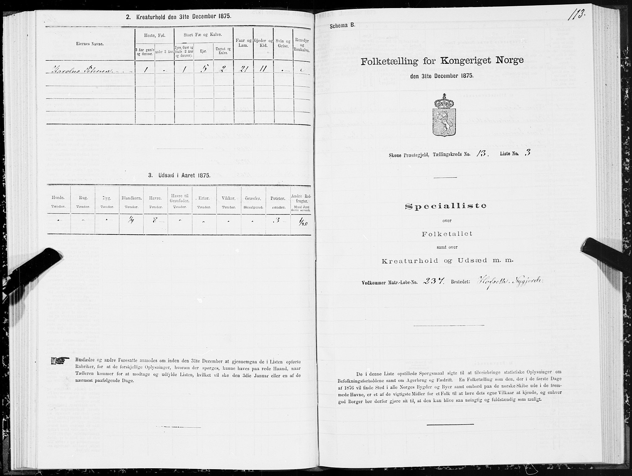 SAT, Folketelling 1875 for 1529P Skodje prestegjeld, 1875, s. 4113