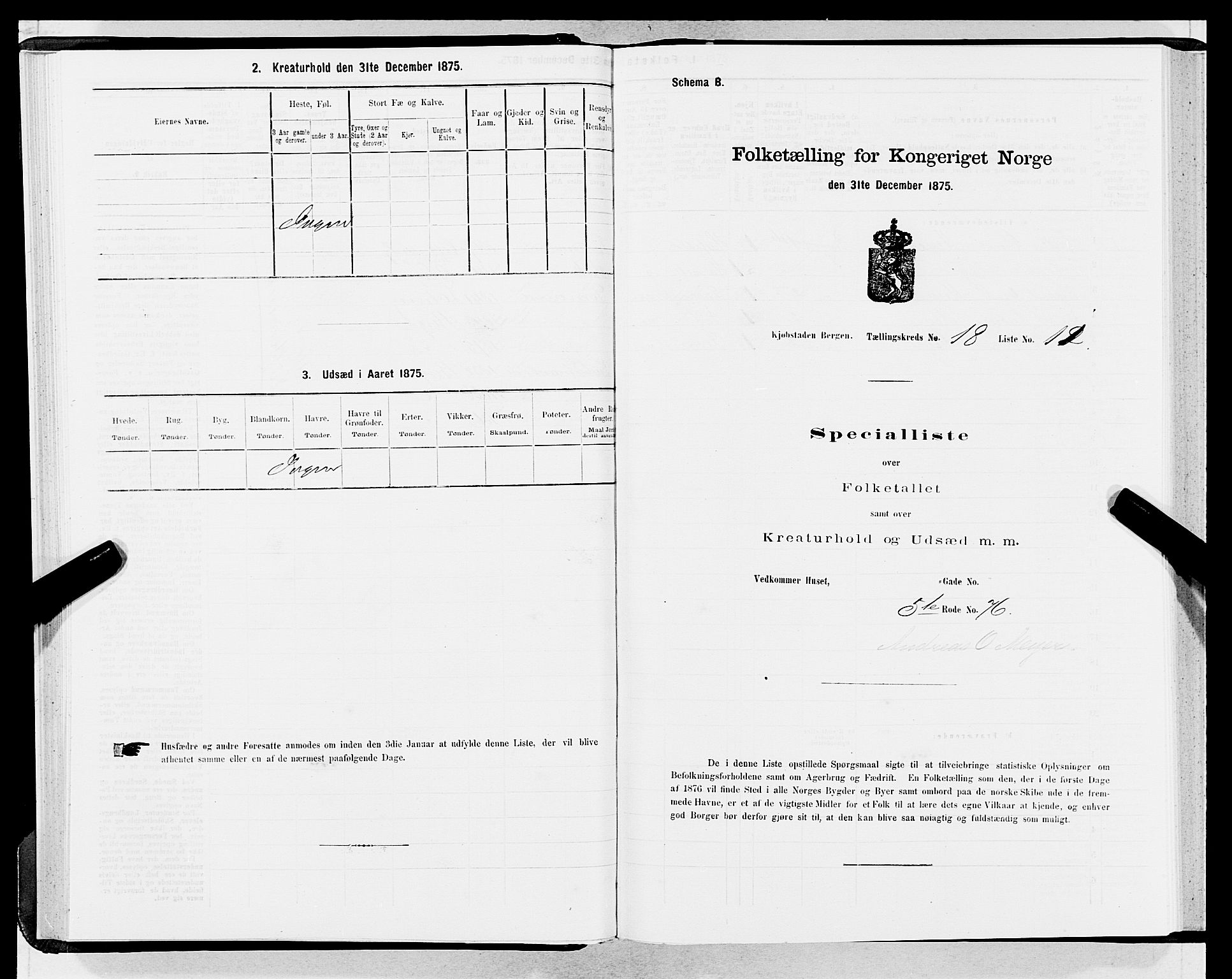 SAB, Folketelling 1875 for 1301 Bergen kjøpstad, 1875, s. 917