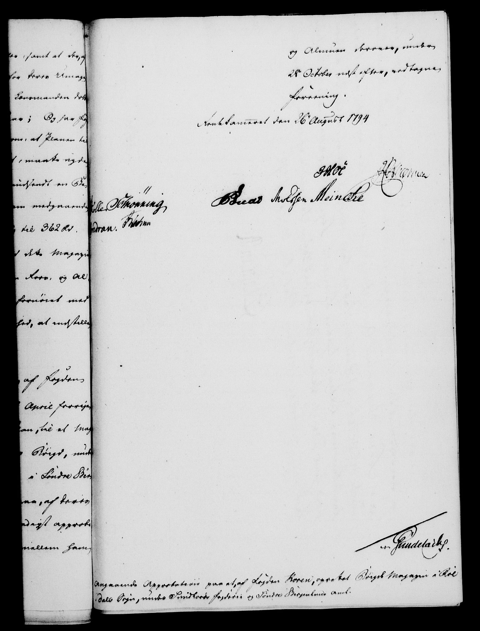 Rentekammeret, Kammerkanselliet, RA/EA-3111/G/Gf/Gfa/L0076: Norsk relasjons- og resolusjonsprotokoll (merket RK 52.76), 1794, s. 336
