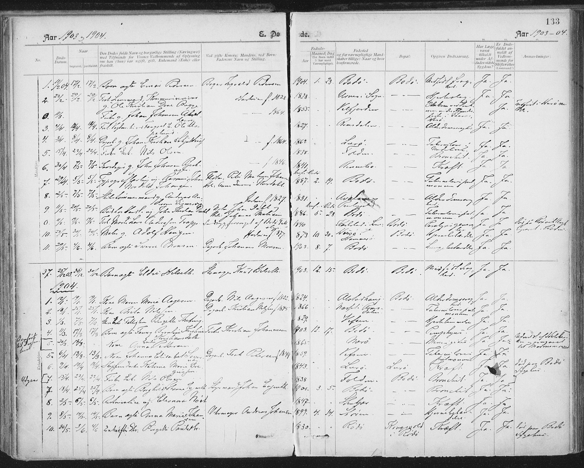 Ministerialprotokoller, klokkerbøker og fødselsregistre - Nordland, AV/SAT-A-1459/801/L0012: Ministerialbok nr. 801A12, 1900-1916, s. 133