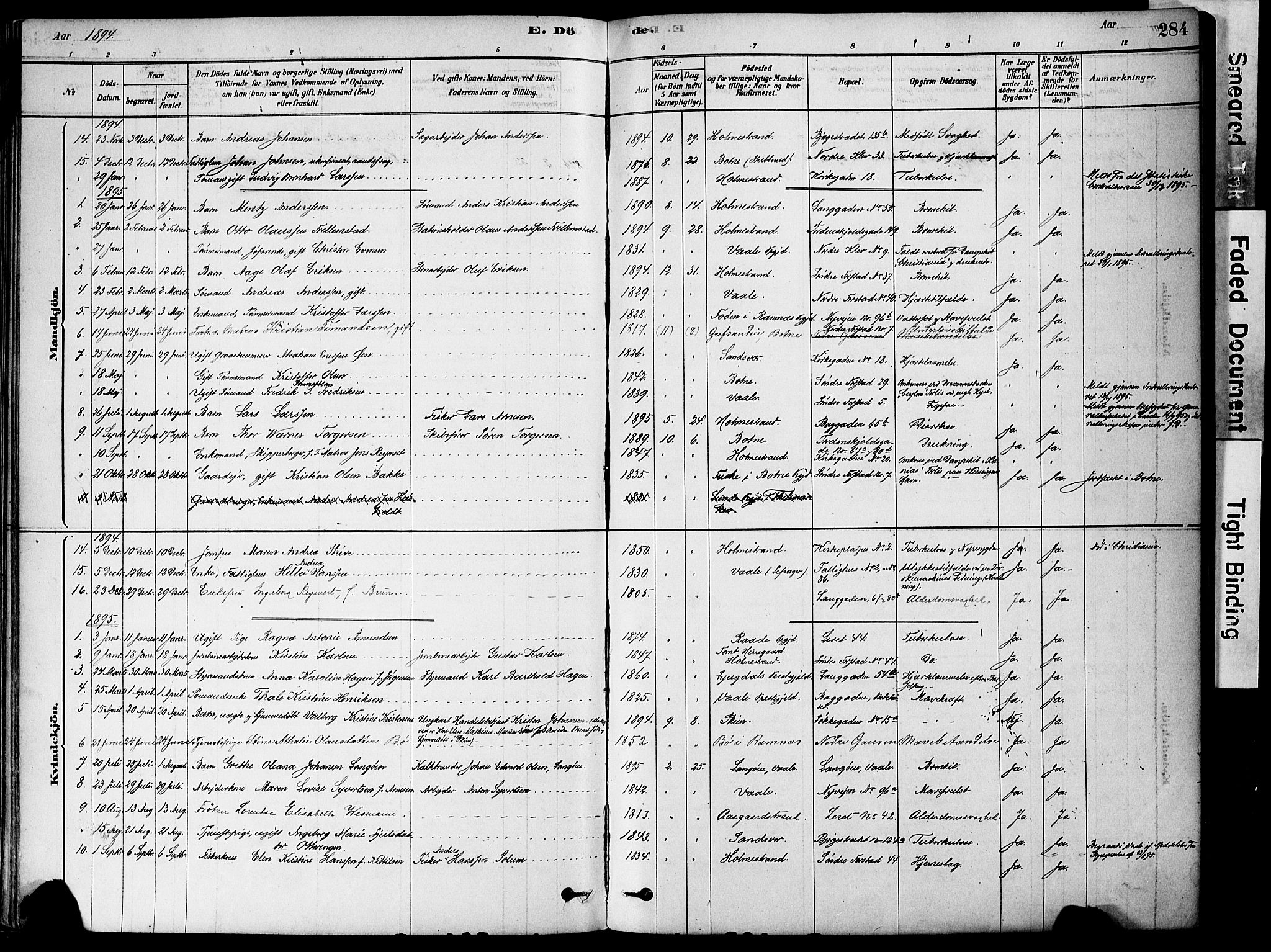 Holmestrand kirkebøker, SAKO/A-346/F/Fa/L0004: Ministerialbok nr. 4, 1880-1901, s. 284