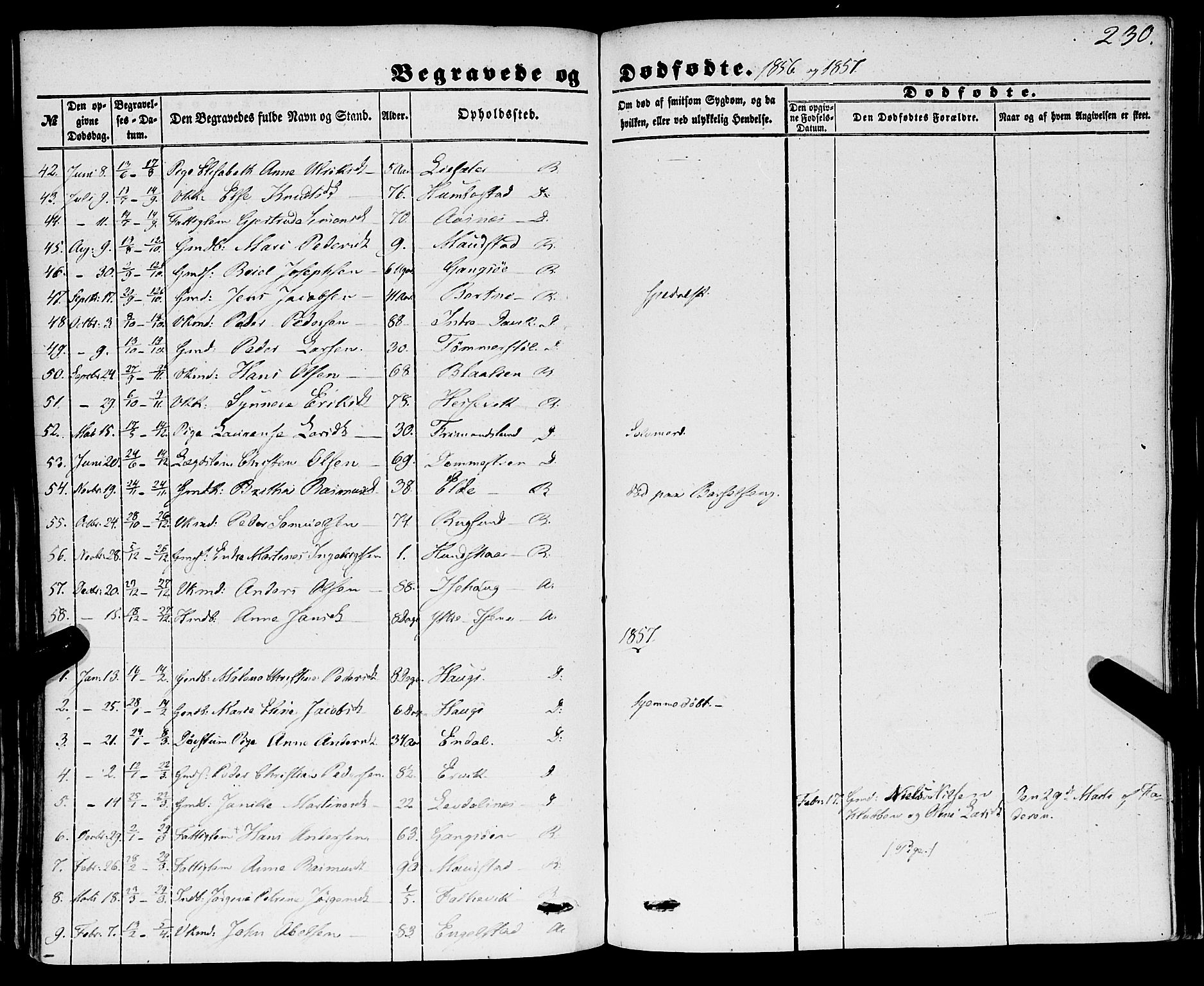 Davik sokneprestembete, AV/SAB-A-79701/H/Haa/Haaa/L0005: Ministerialbok nr. A 5, 1850-1866, s. 230