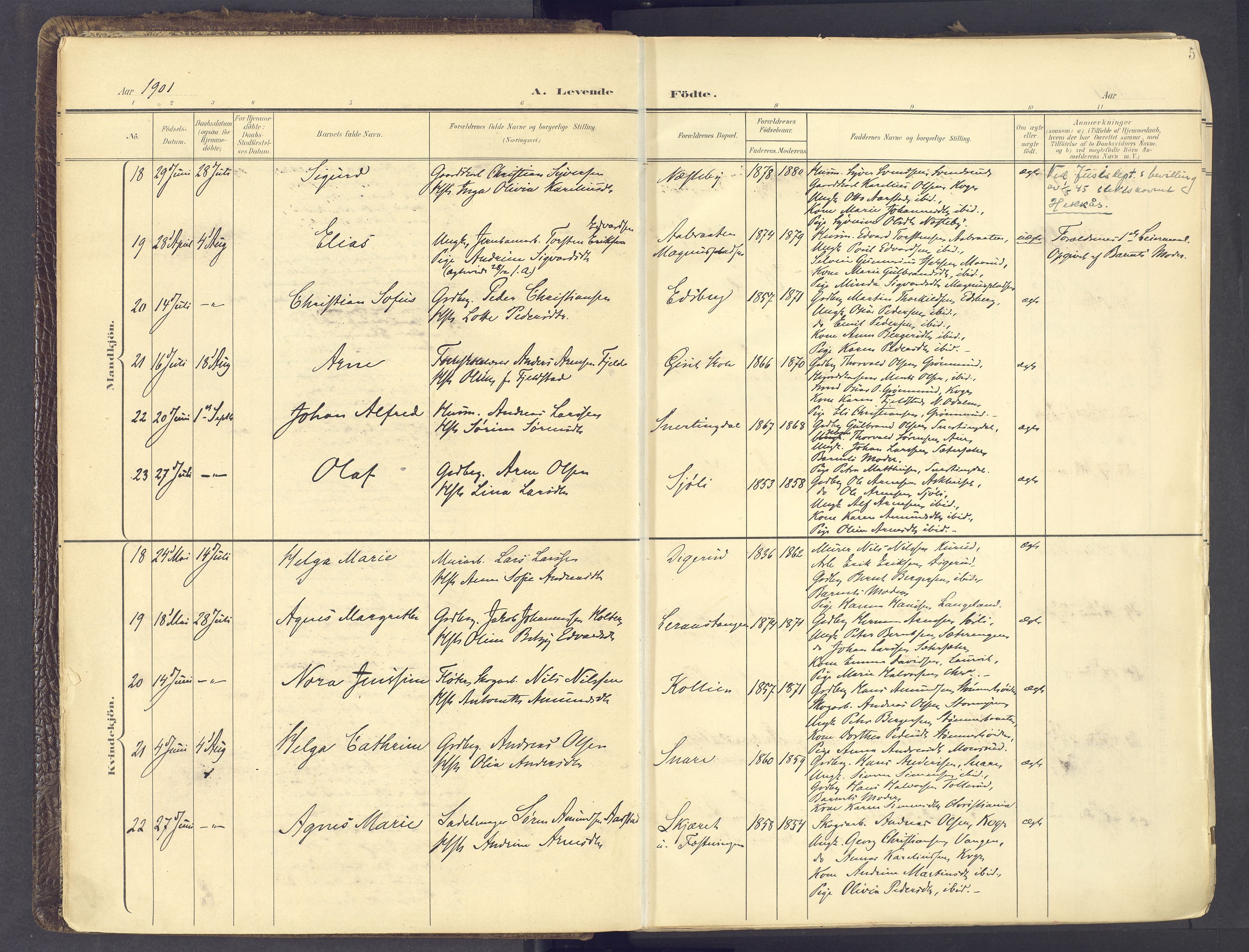 Vinger prestekontor, AV/SAH-PREST-024/H/Ha/Haa/L0017: Ministerialbok nr. 17, 1901-1927, s. 5