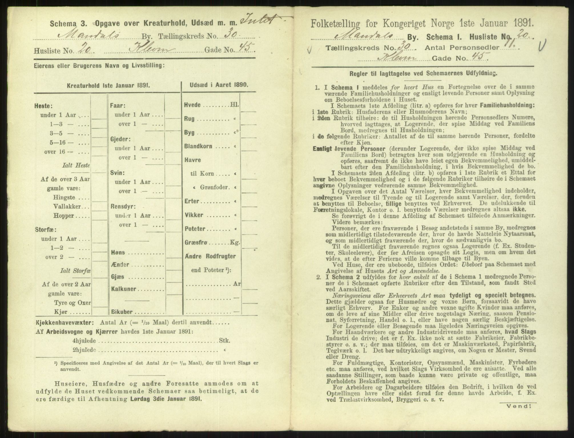 RA, Folketelling 1891 for 1002 Mandal ladested, 1891, s. 1385