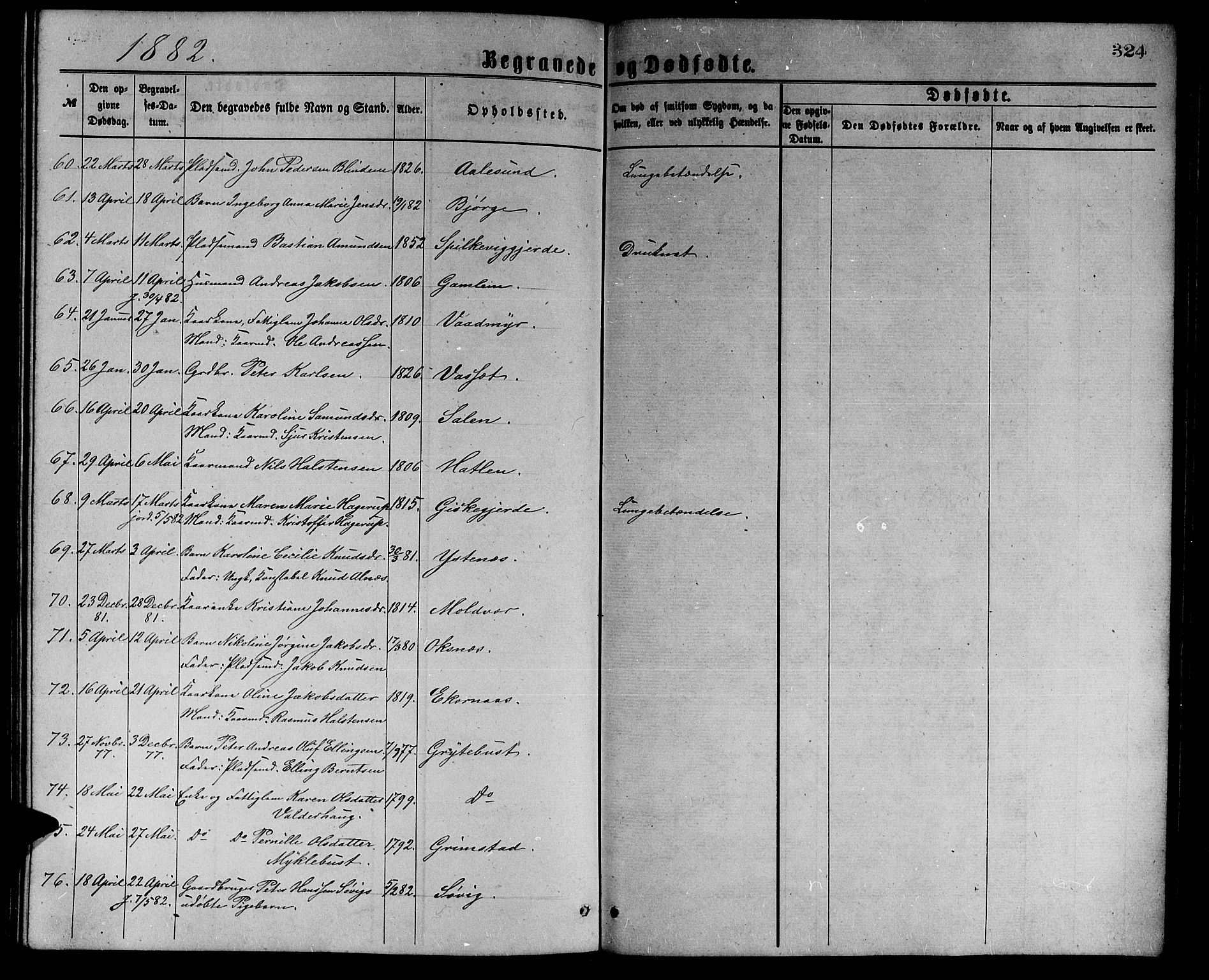 Ministerialprotokoller, klokkerbøker og fødselsregistre - Møre og Romsdal, AV/SAT-A-1454/528/L0429: Klokkerbok nr. 528C10, 1872-1886, s. 324