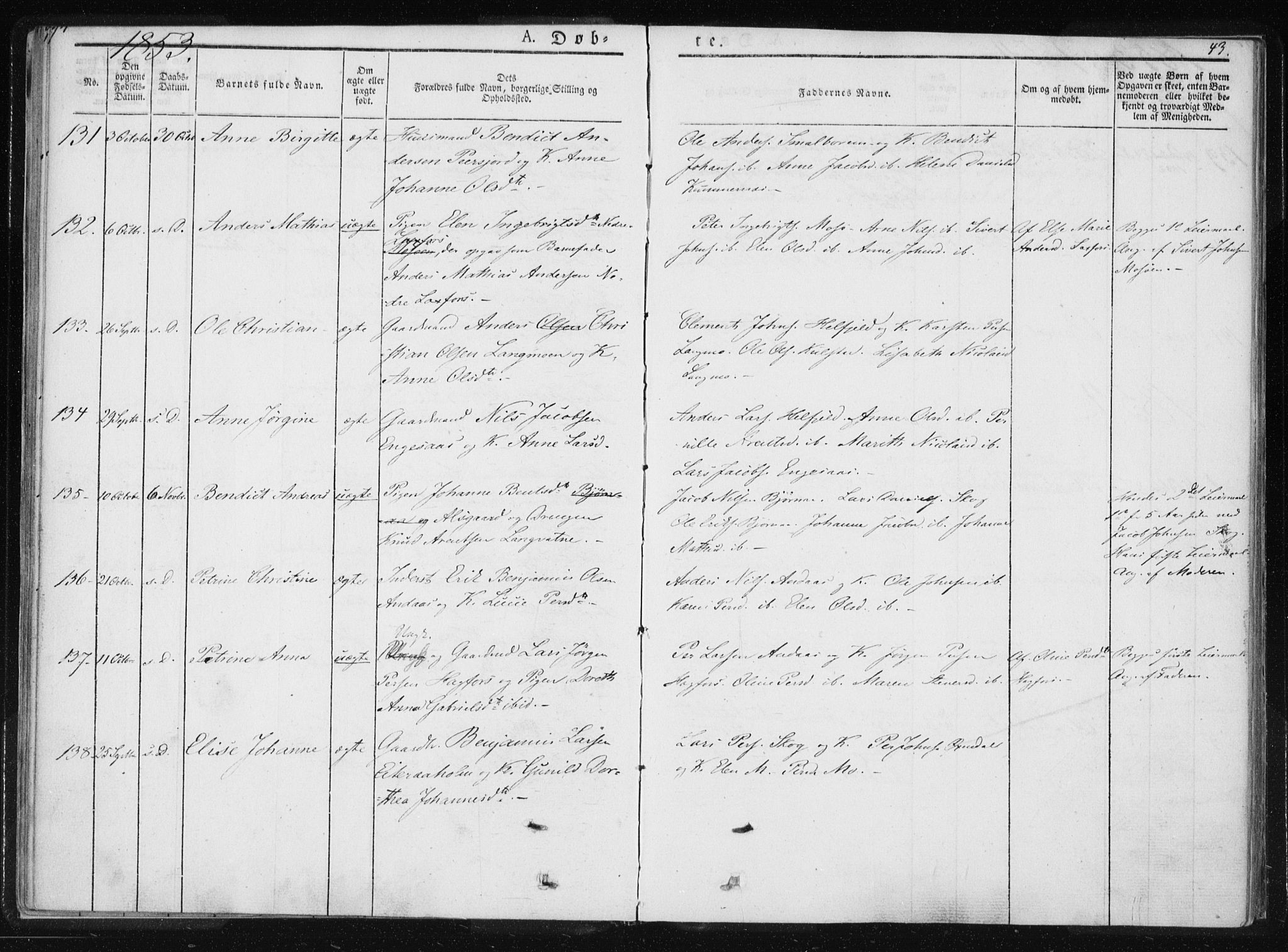 Ministerialprotokoller, klokkerbøker og fødselsregistre - Nordland, AV/SAT-A-1459/820/L0292: Ministerialbok nr. 820A13, 1851-1854, s. 43