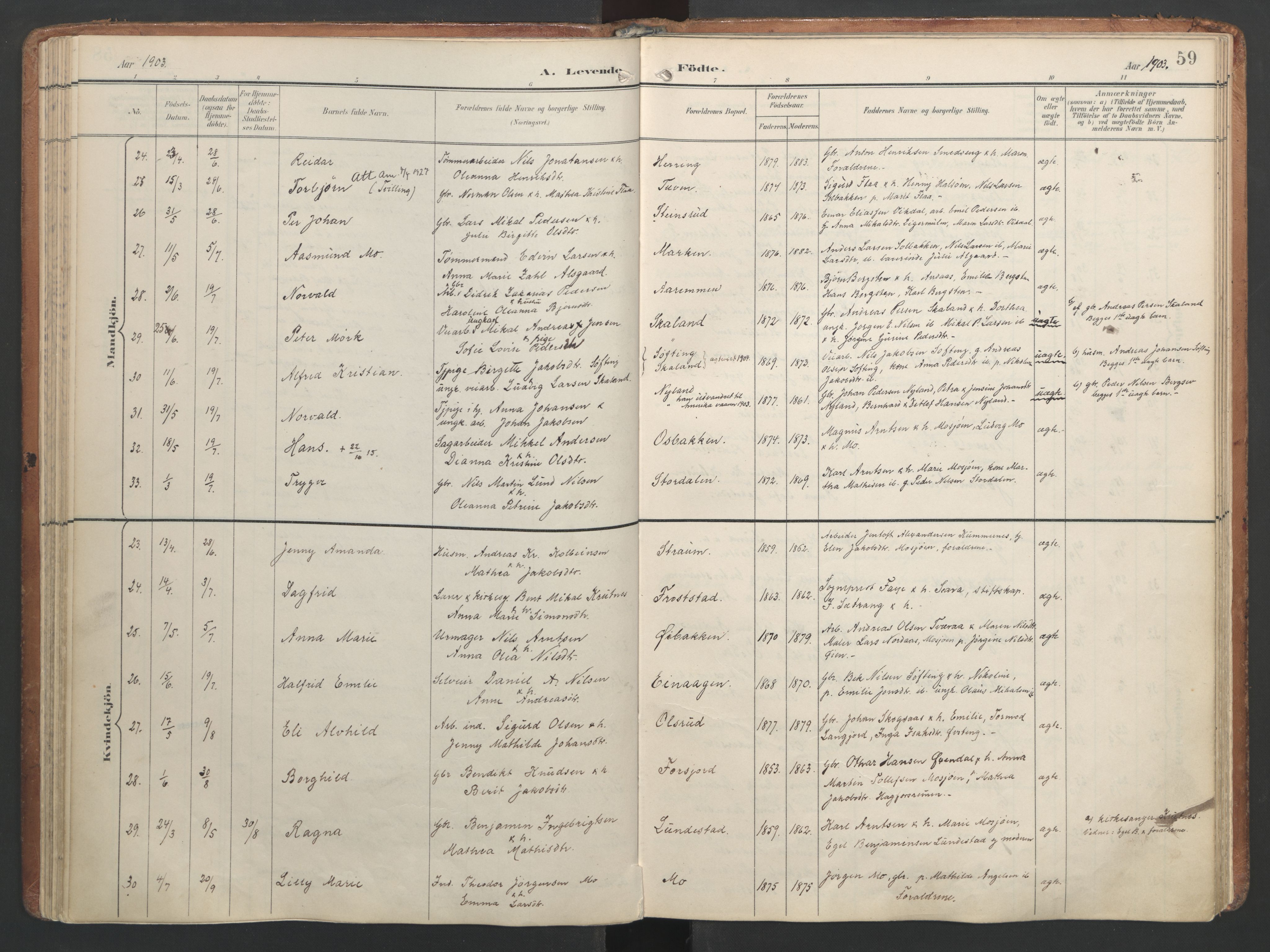 Ministerialprotokoller, klokkerbøker og fødselsregistre - Nordland, AV/SAT-A-1459/820/L0297: Ministerialbok nr. 820A18, 1897-1917, s. 59