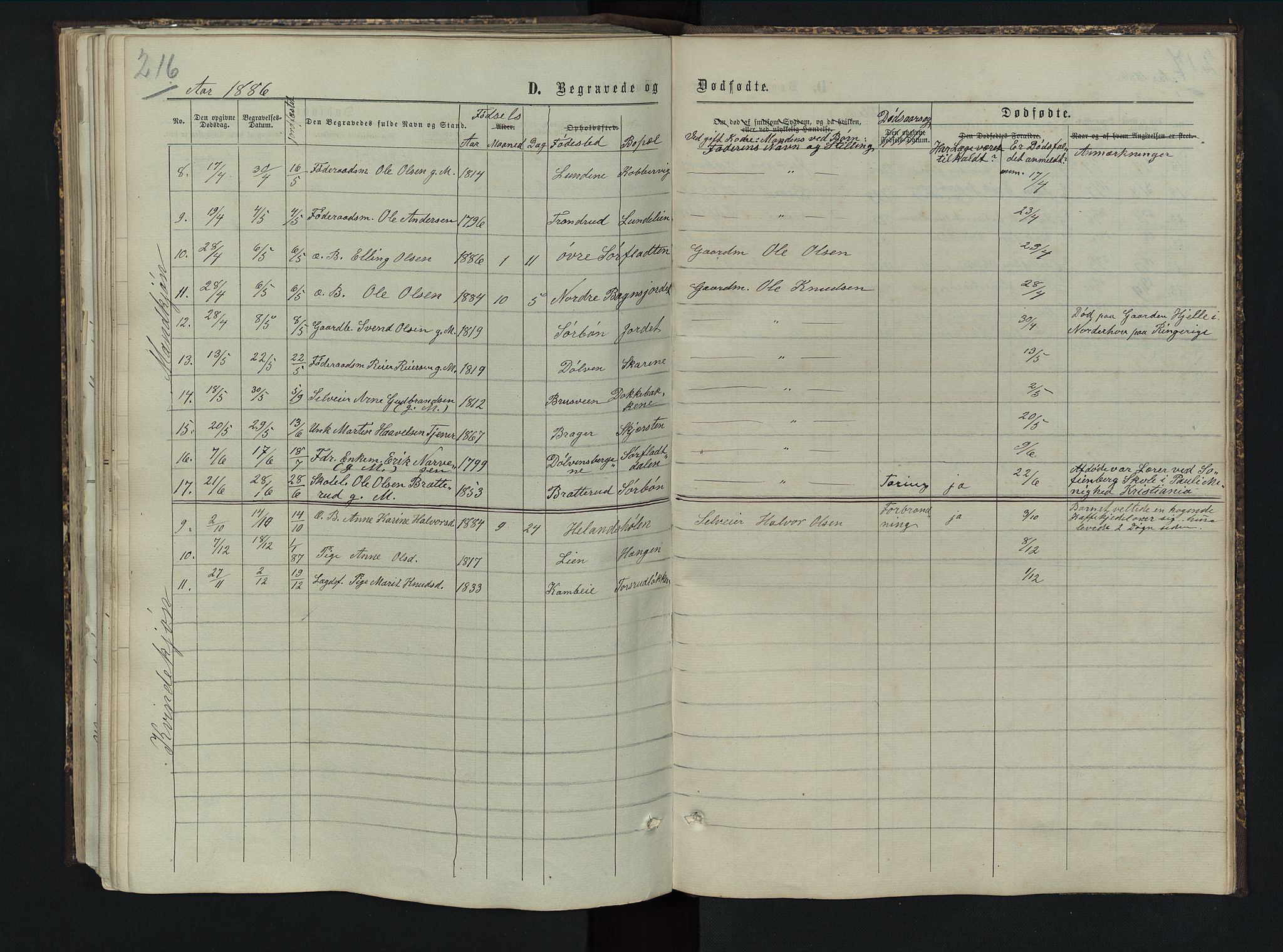 Sør-Aurdal prestekontor, SAH/PREST-128/H/Ha/Hab/L0005: Klokkerbok nr. 5, 1866-1893, s. 216