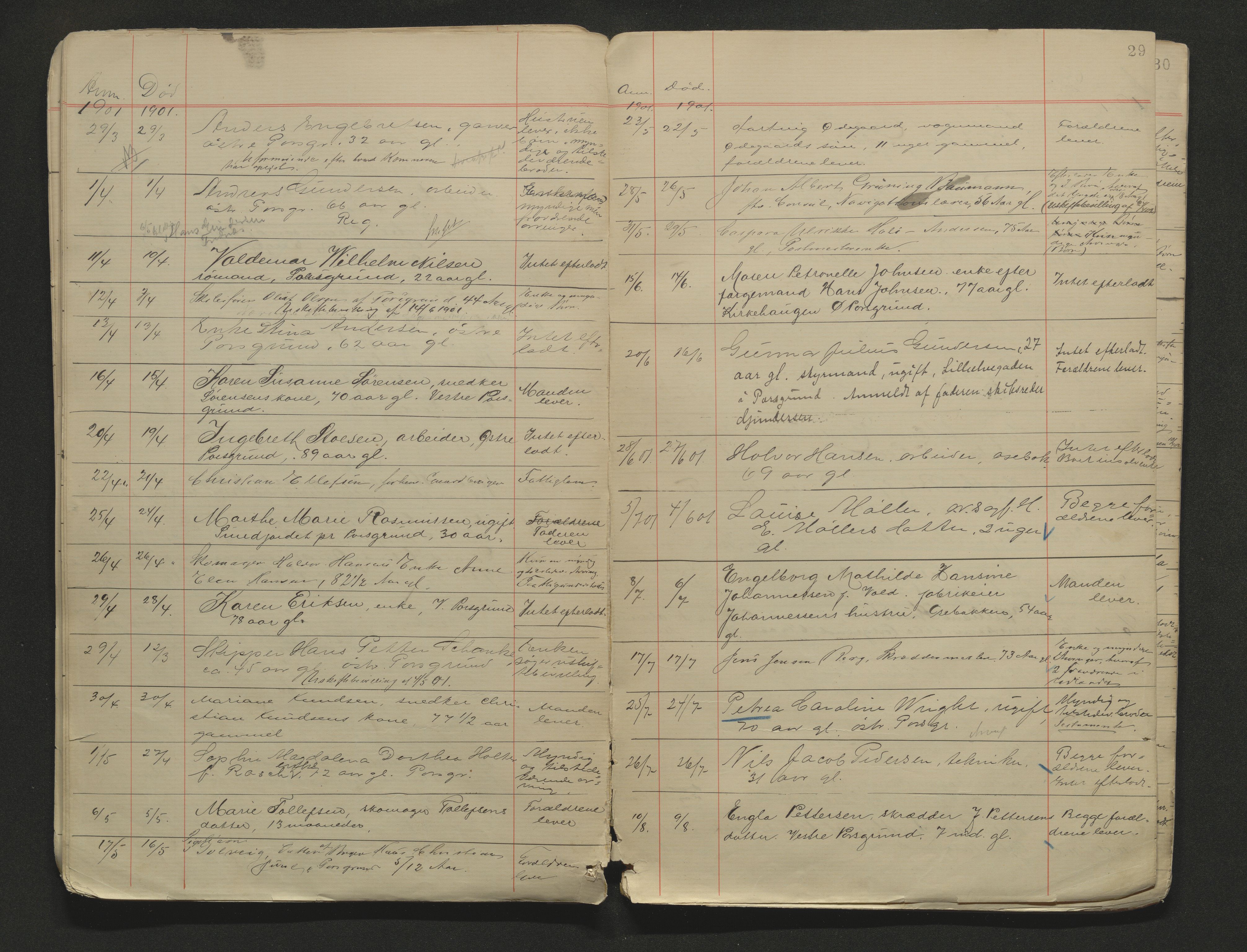 Porsgrunn byfogd, AV/SAKO-A-106/H/Ha/L0002: Dødsanmeldelseprotokoll, 1888-1908, s. 29