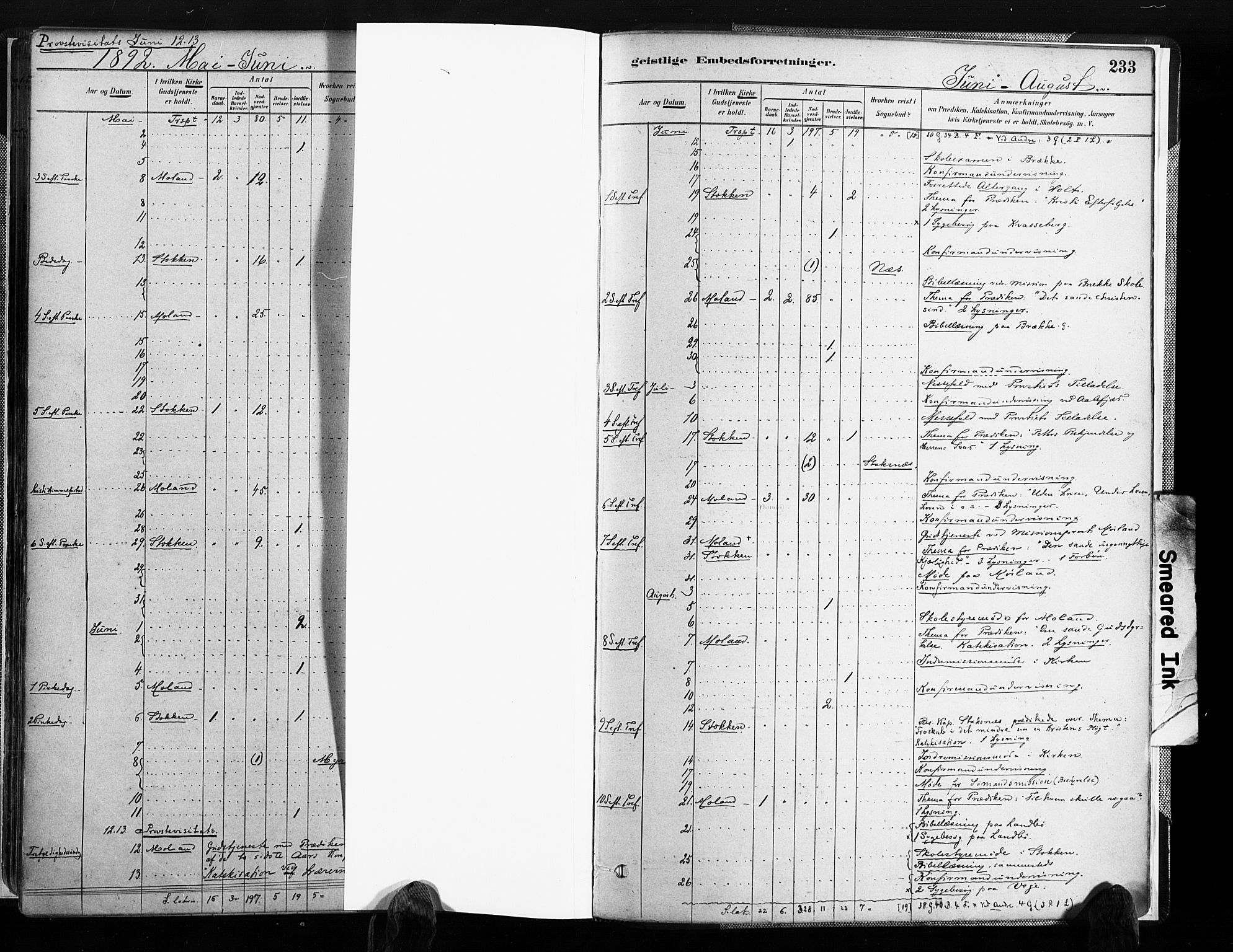 Austre Moland sokneprestkontor, AV/SAK-1111-0001/F/Fa/Faa/L0010: Ministerialbok nr. A 10, 1880-1904, s. 233