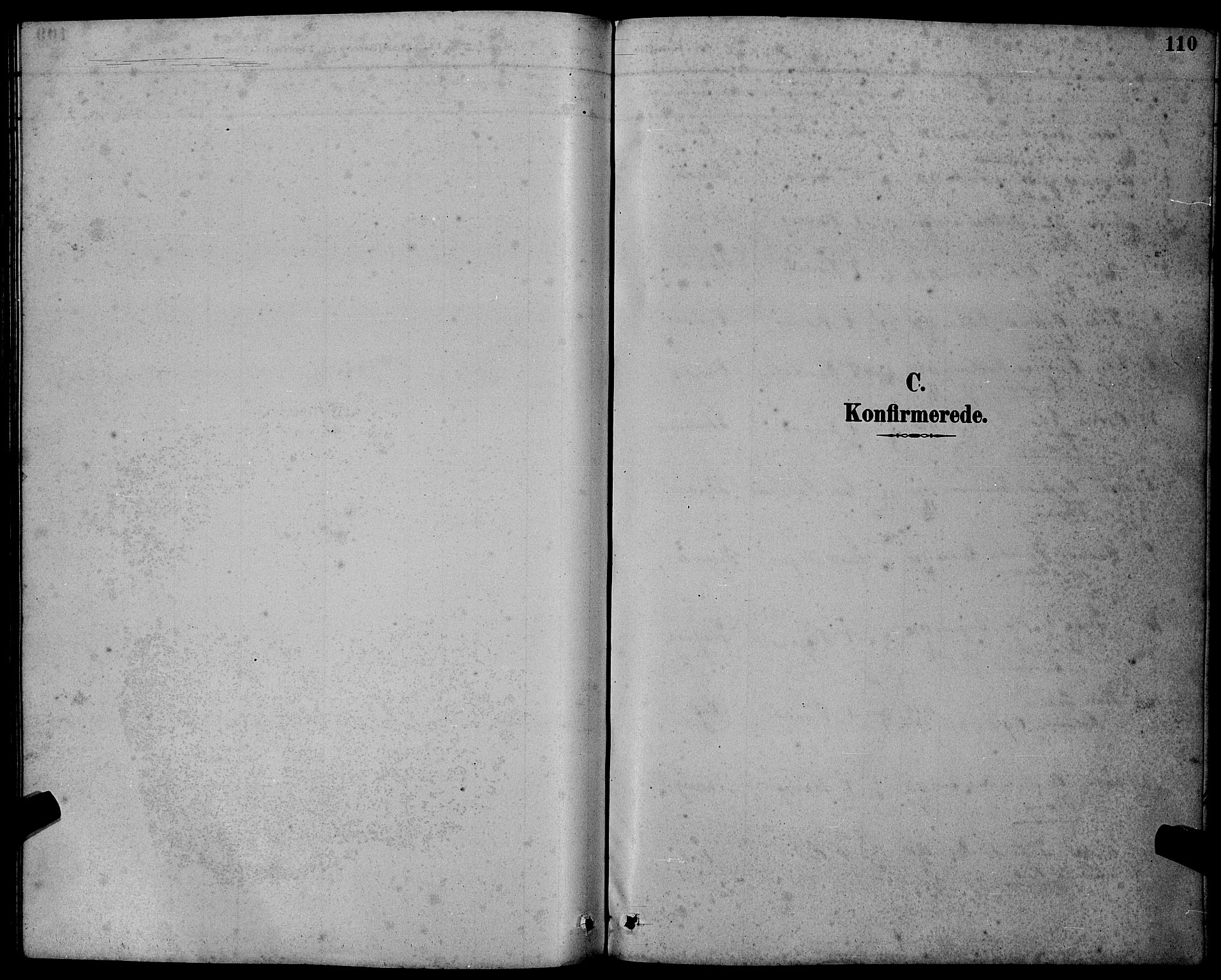 Ministerialprotokoller, klokkerbøker og fødselsregistre - Møre og Romsdal, AV/SAT-A-1454/501/L0017: Klokkerbok nr. 501C03, 1885-1901, s. 110