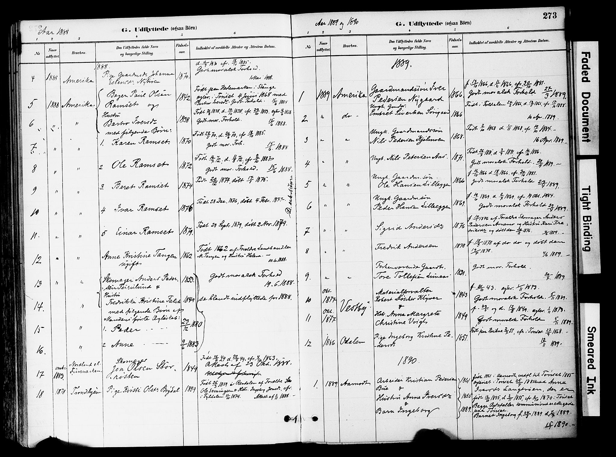 Tynset prestekontor, AV/SAH-PREST-058/H/Ha/Haa/L0022: Ministerialbok nr. 22, 1880-1899, s. 273