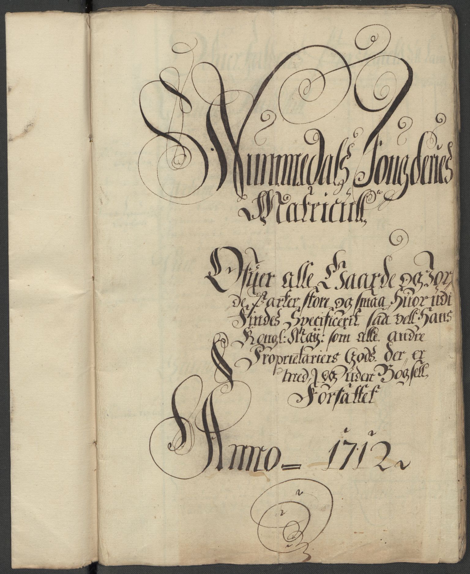 Rentekammeret inntil 1814, Reviderte regnskaper, Fogderegnskap, RA/EA-4092/R64/L4433: Fogderegnskap Namdal, 1712, s. 11